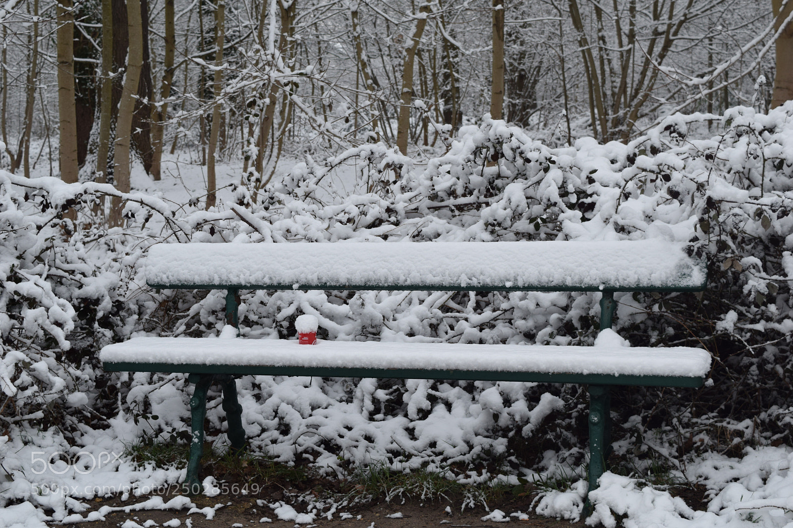 Nikon D3300 sample photo. Human snow photography