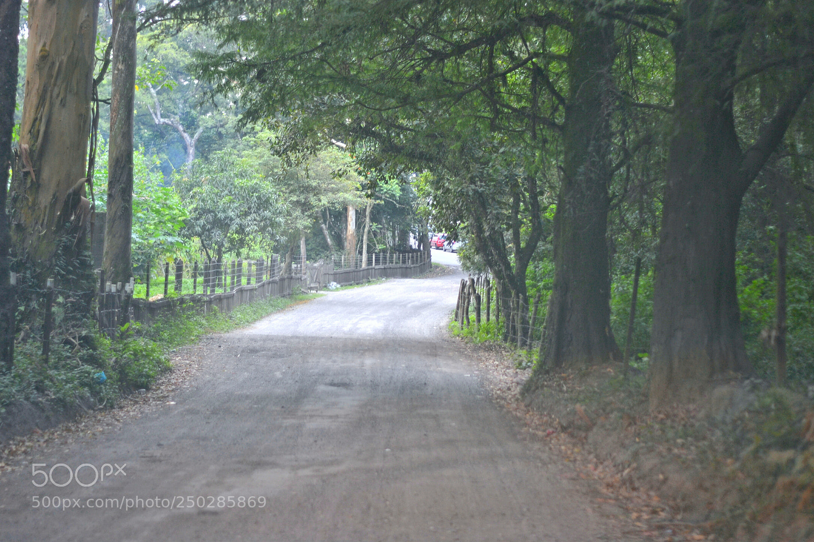 Nikon D3100 sample photo. Way photography