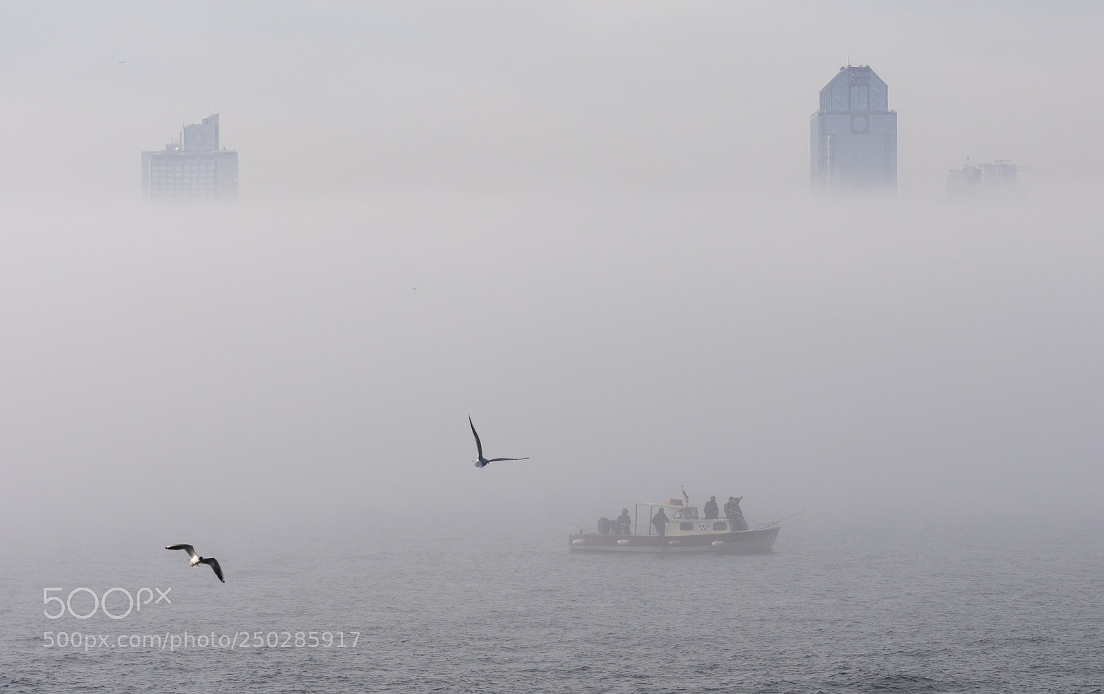 Nikon D7200 sample photo. Fog photography