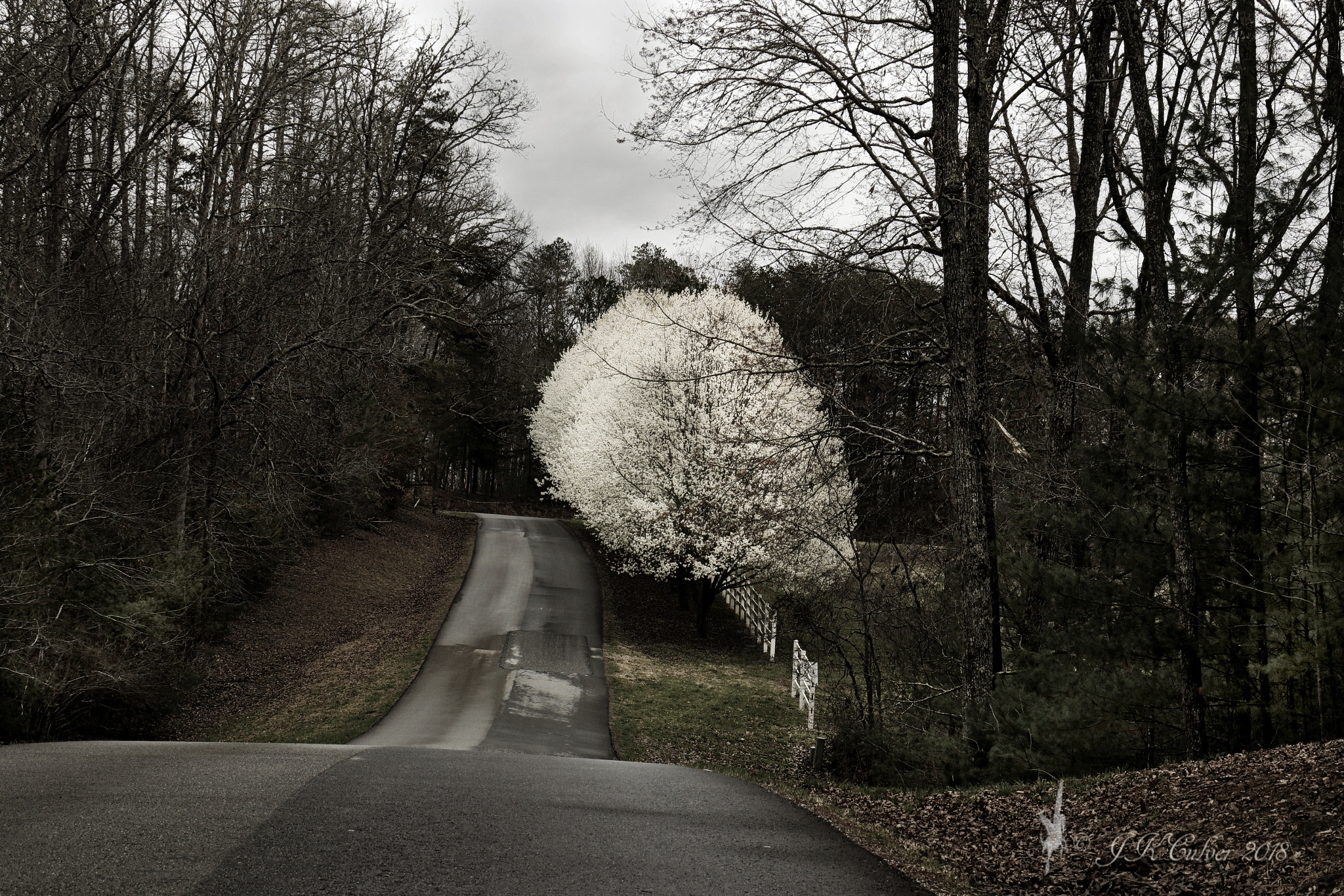 Canon EOS 77D (EOS 9000D / EOS 770D) sample photo. Magnetism in nature photography
