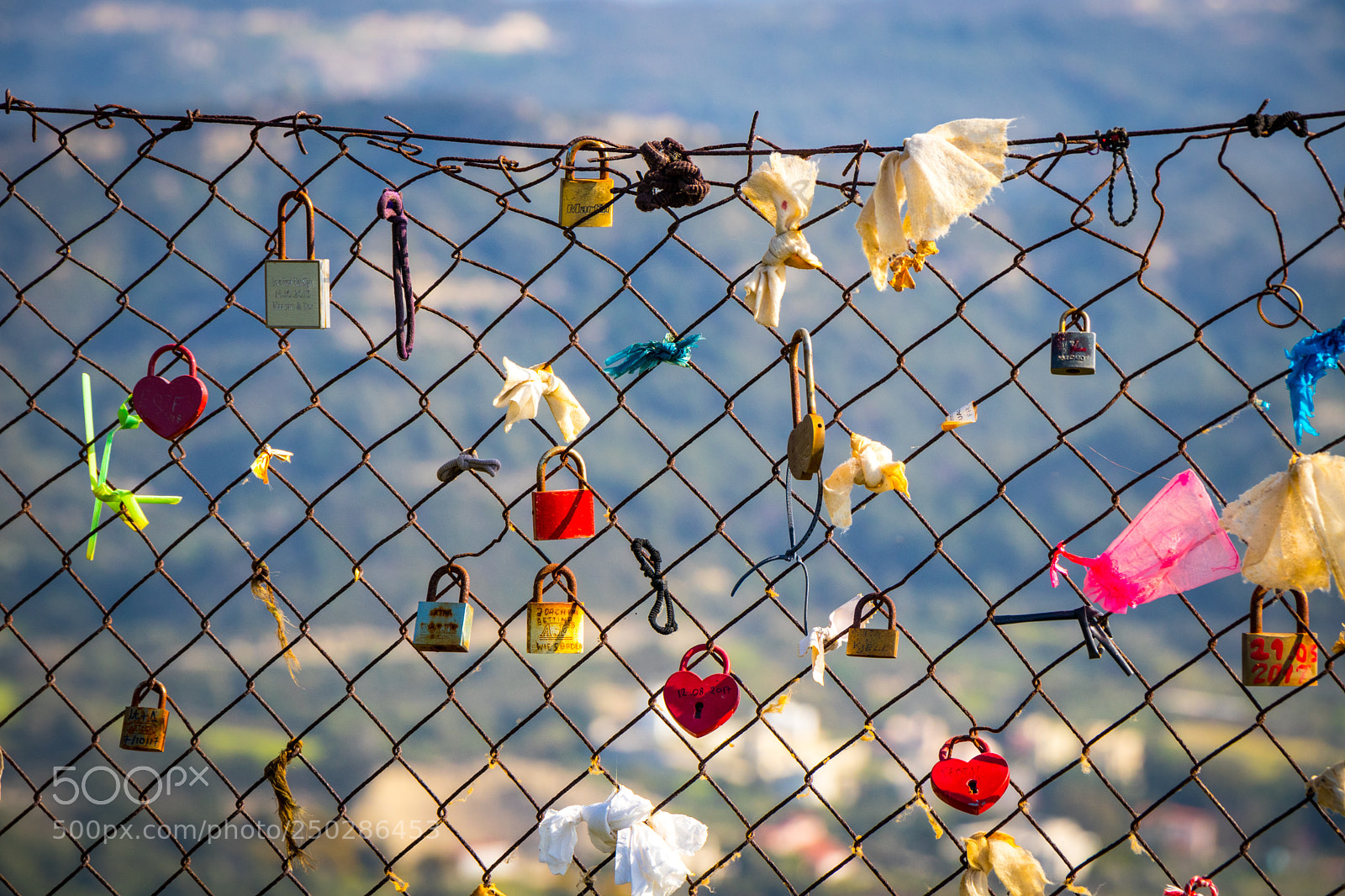 Canon EOS 80D sample photo. Love fence photography
