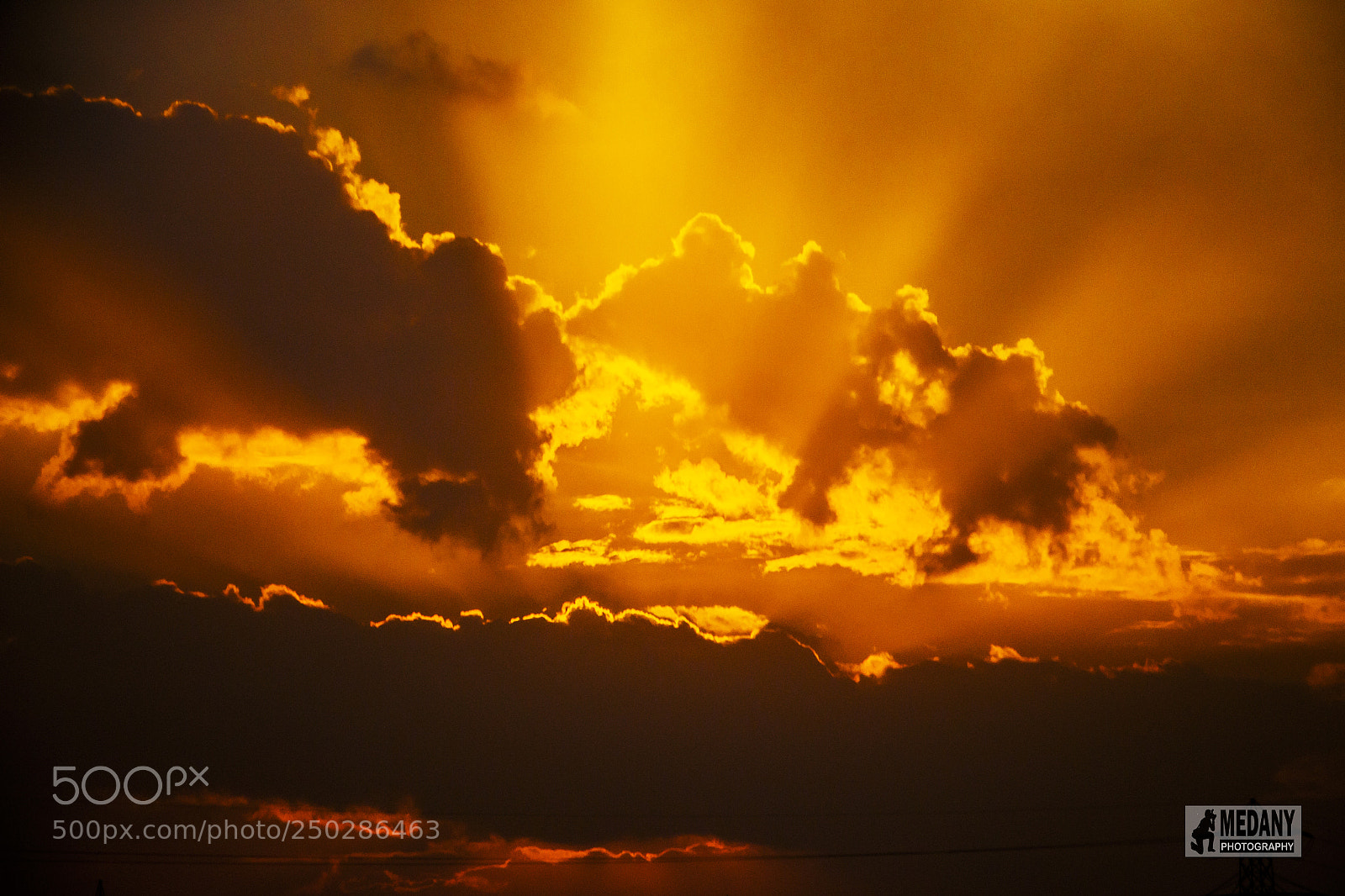 Canon EOS 700D (EOS Rebel T5i / EOS Kiss X7i) sample photo. Img photography