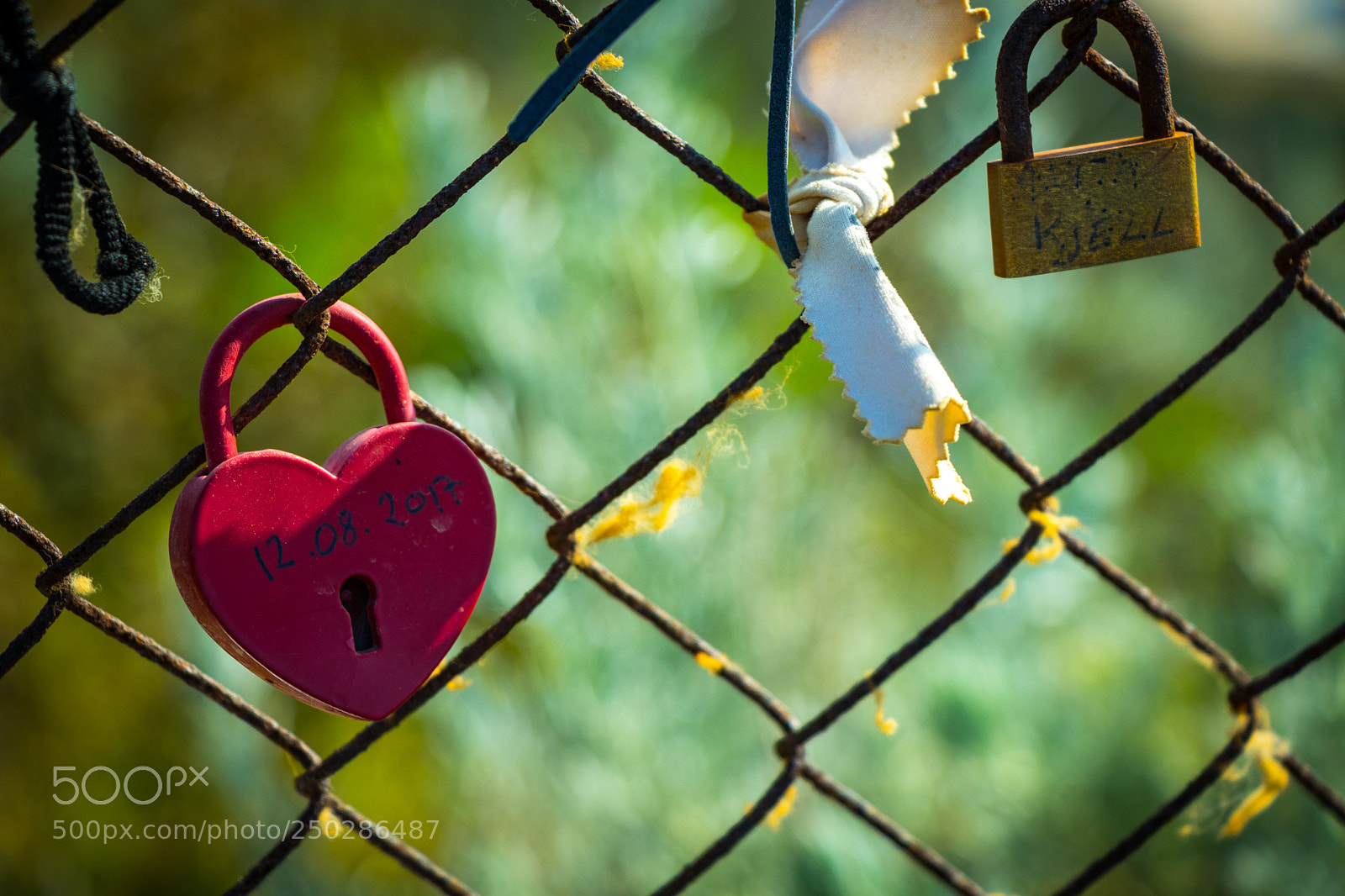 Canon EOS 80D sample photo. Love fence photography