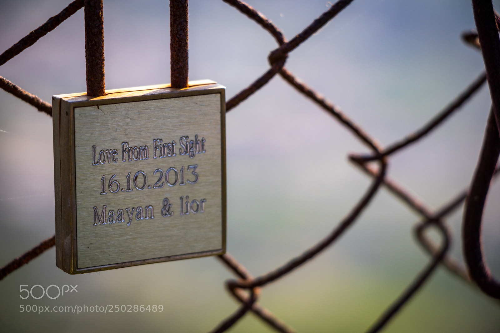 Canon EOS 80D sample photo. Love fence photography