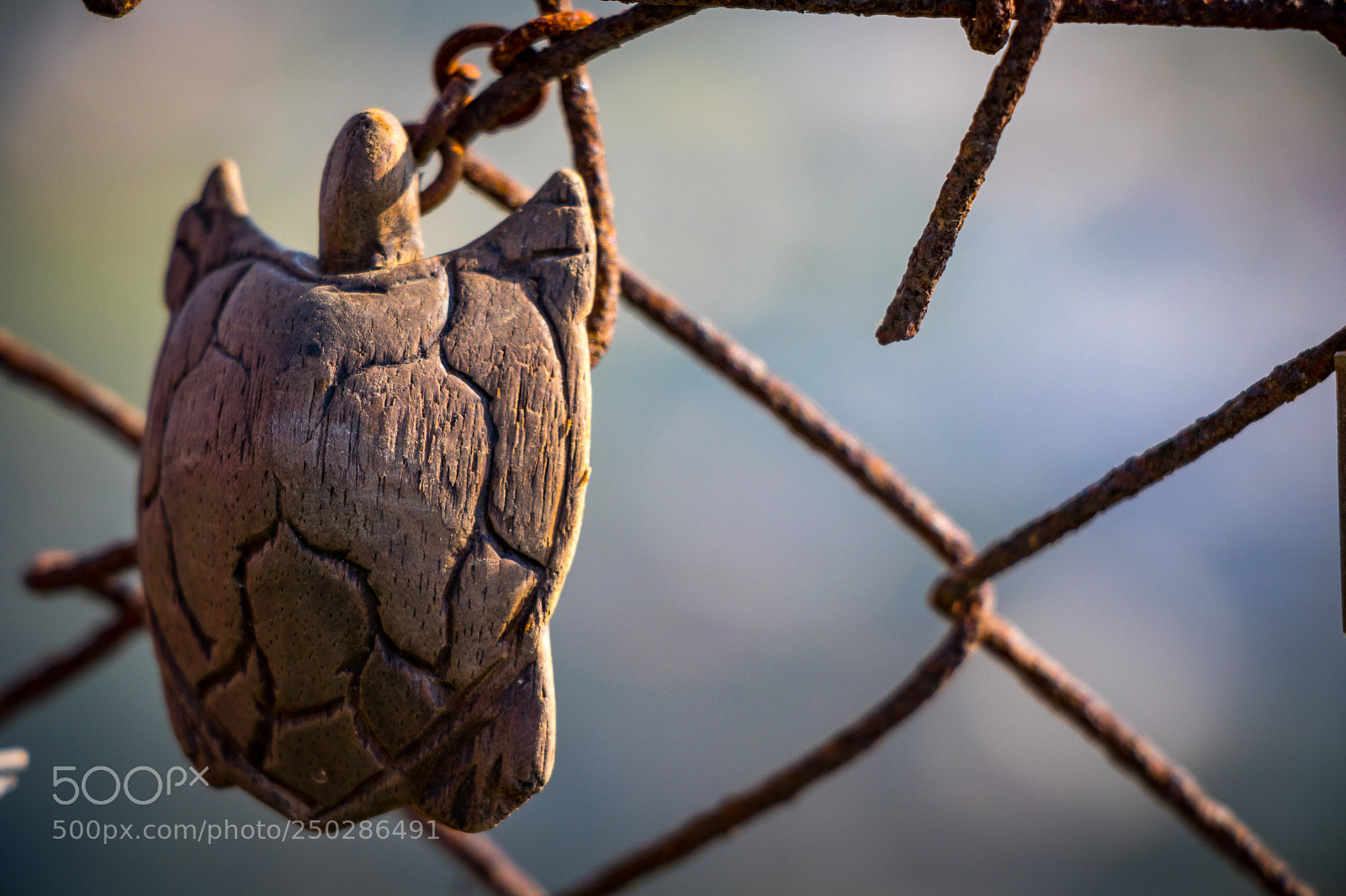 Canon EOS 80D sample photo. Love fence photography