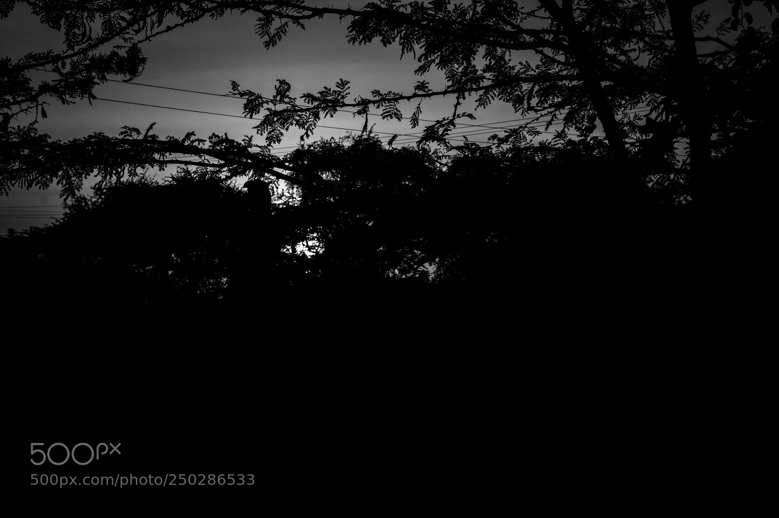 Nikon D3200 sample photo. Sunrise photography