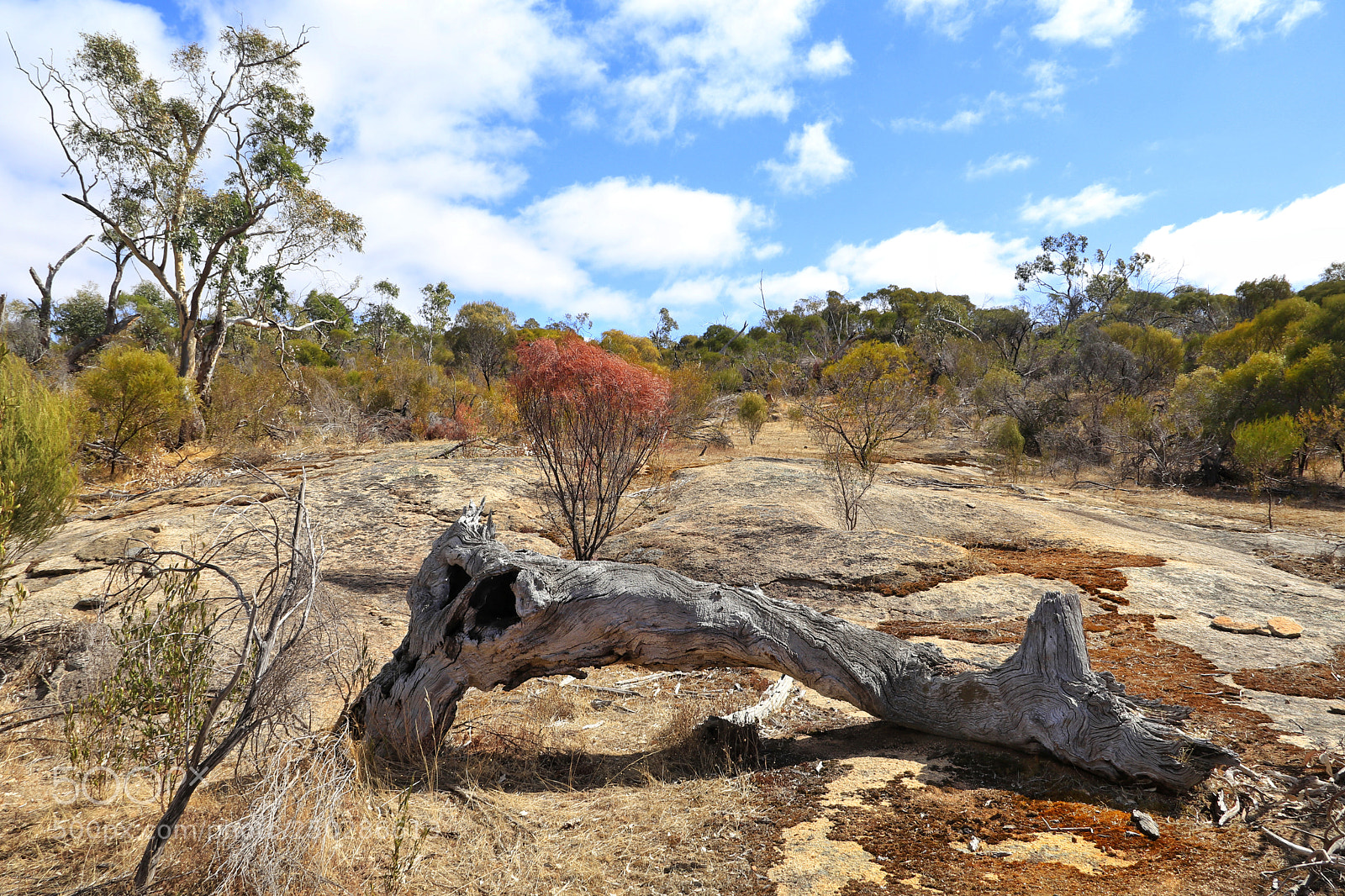 Canon EOS 80D sample photo. Eastern circuit track landscape photography