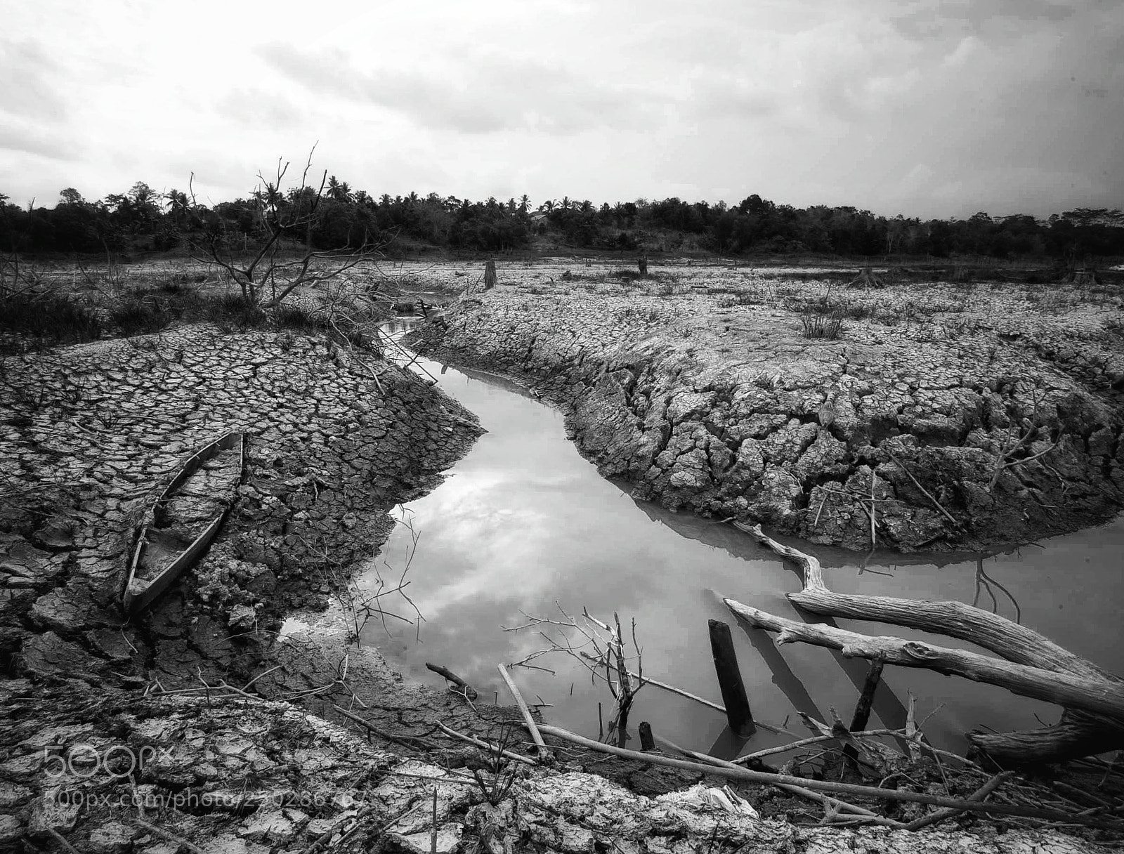 Canon EOS 5D Mark II sample photo. Save the water photography