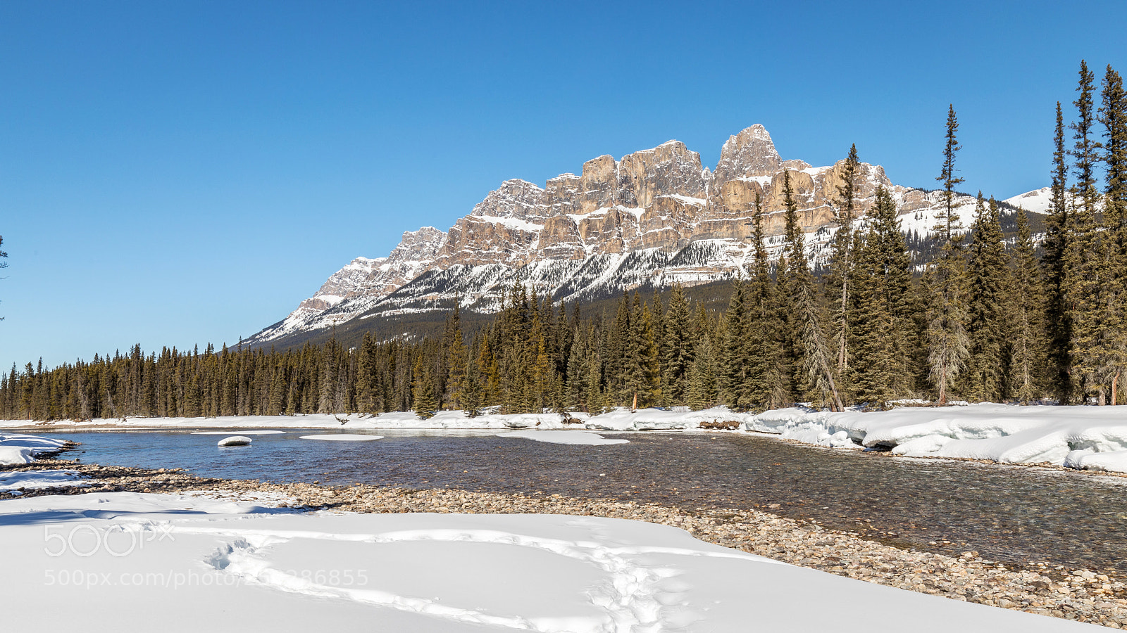 Canon EOS 5D Mark IV sample photo. Castle mountain - bow photography