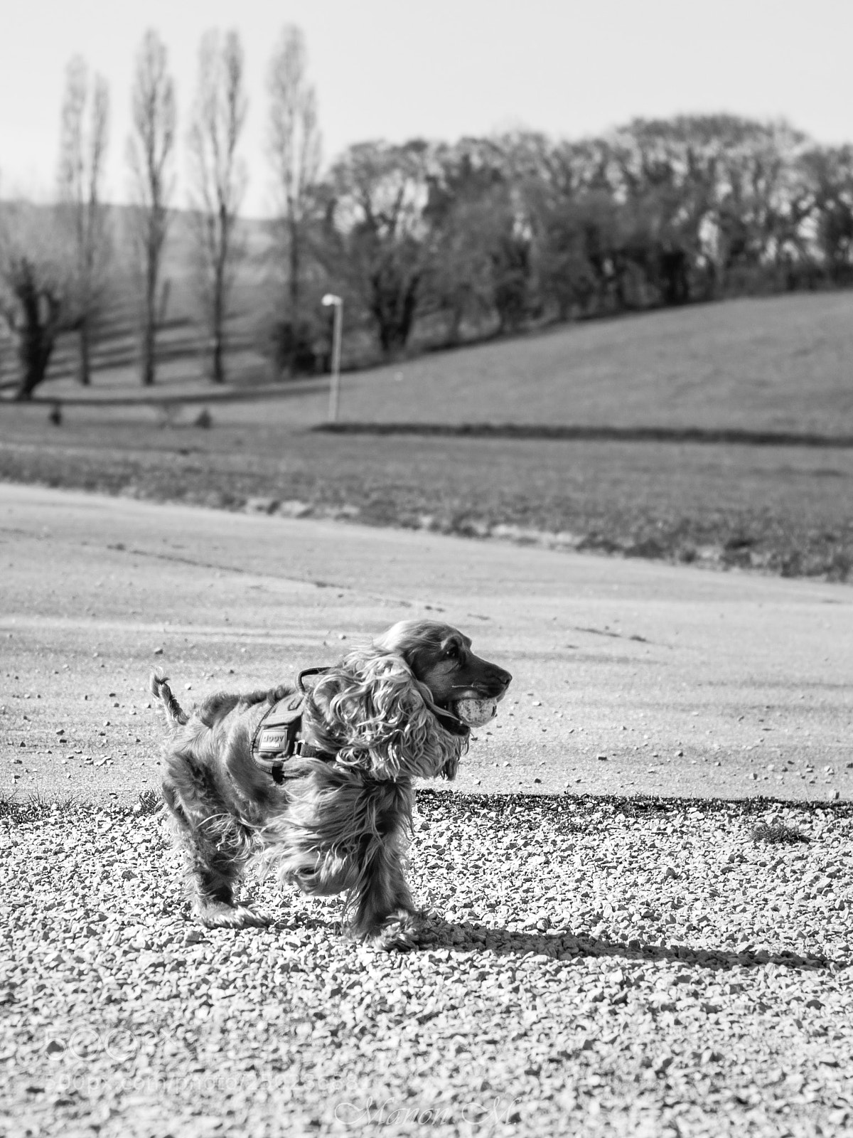 Canon EOS 750D (EOS Rebel T6i / EOS Kiss X8i) sample photo. Let's play ! photography