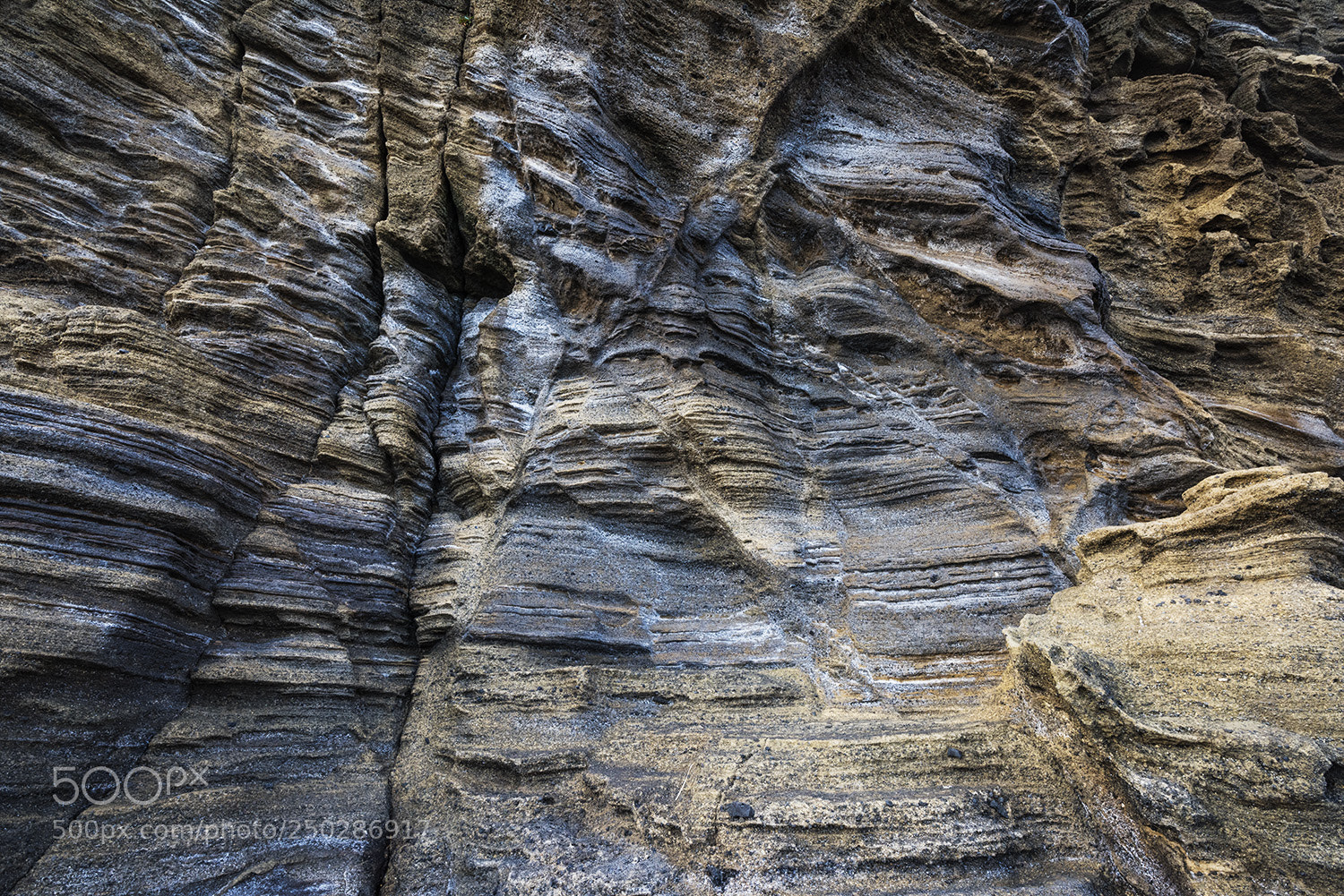 Nikon D810 sample photo. Sand stone bed photography