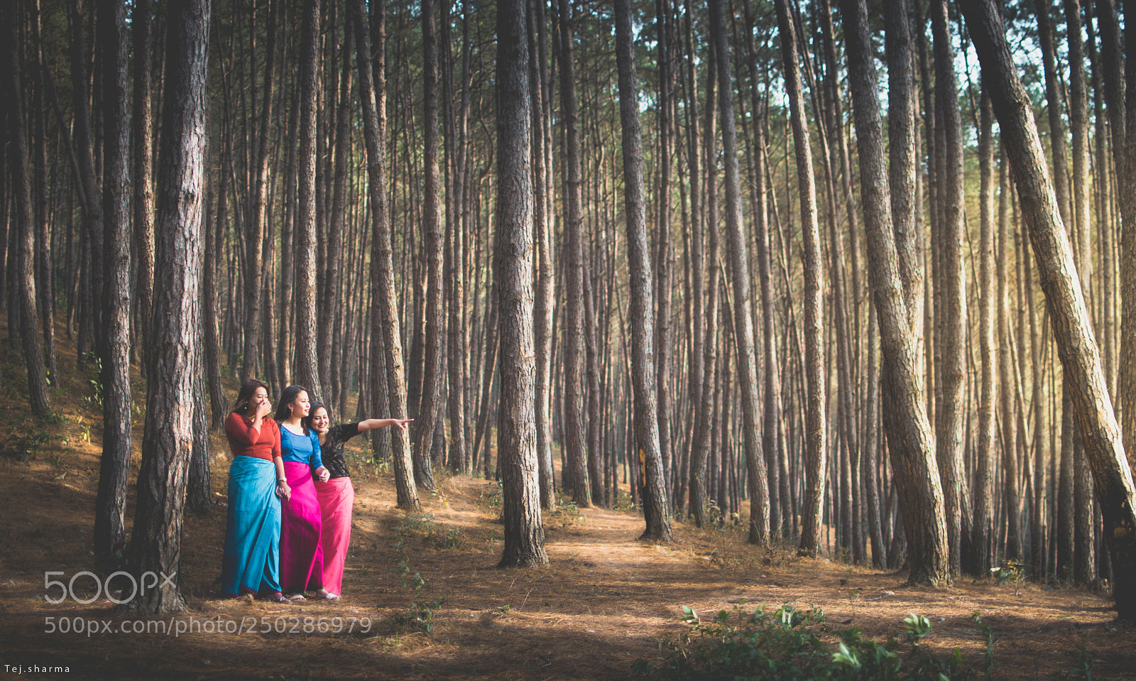 Nikon D5600 sample photo. Untitled photography