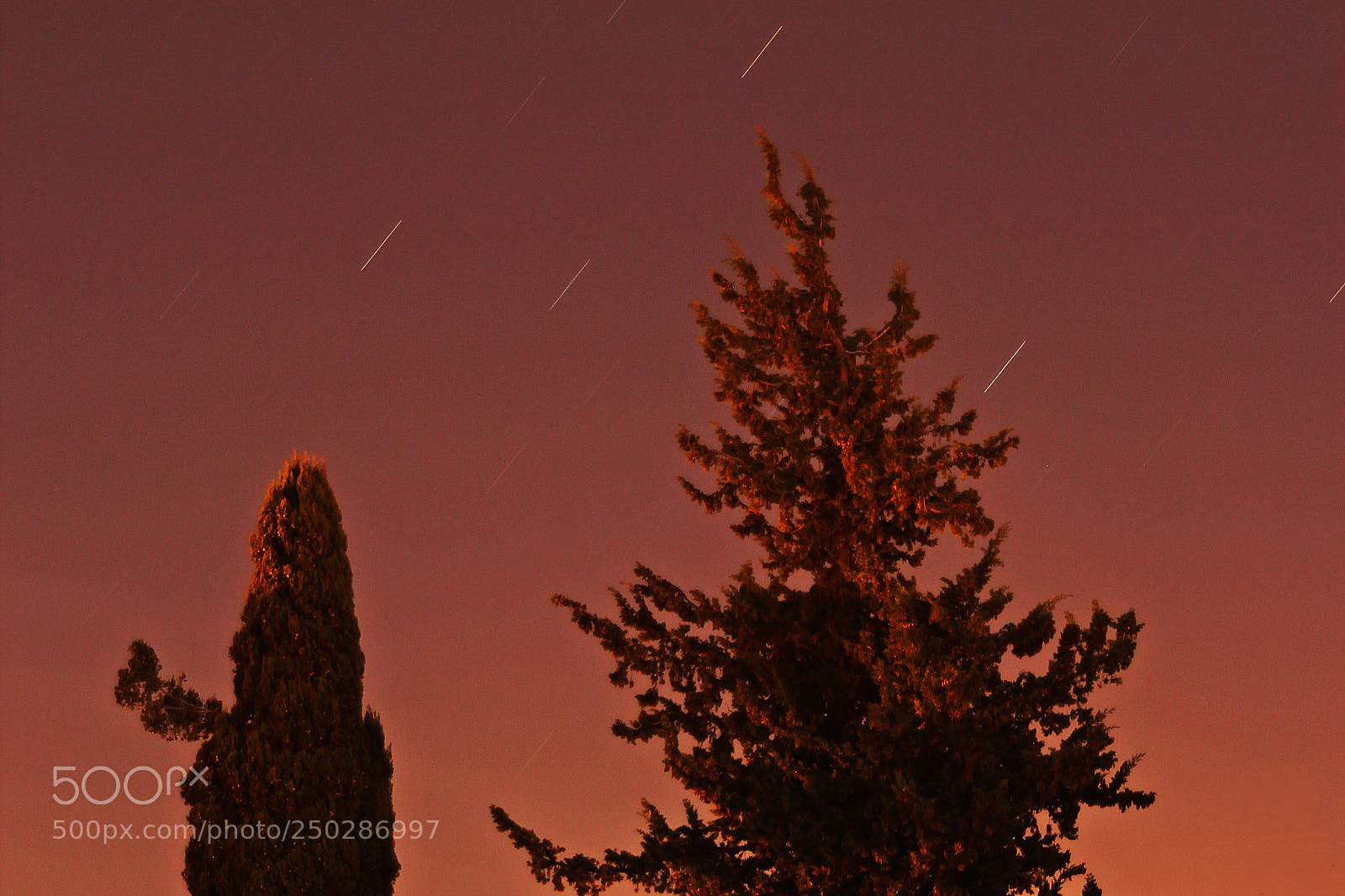 Canon EOS 550D (EOS Rebel T2i / EOS Kiss X4) sample photo. Skyglow photography