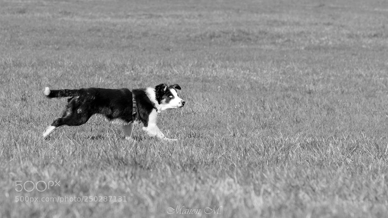 Canon EOS 750D (EOS Rebel T6i / EOS Kiss X8i) sample photo. Posture de border... photography