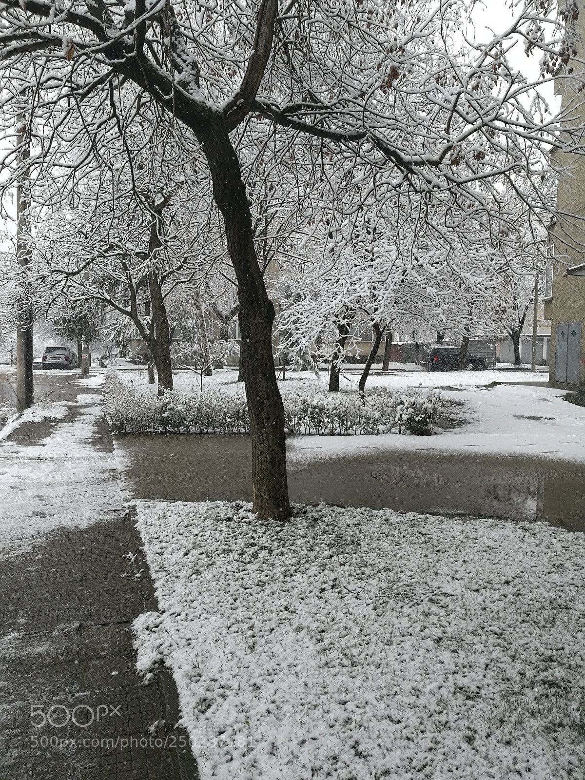 HUAWEI Honor 8 sample photo. Untitled photography