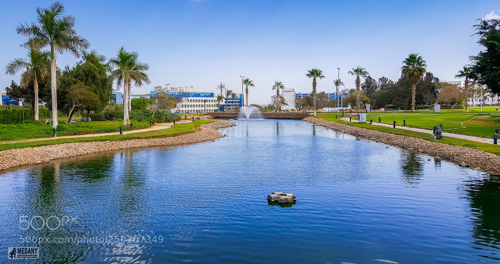 Samsung Galaxy Note5 sample photo. Mobile_photography photography