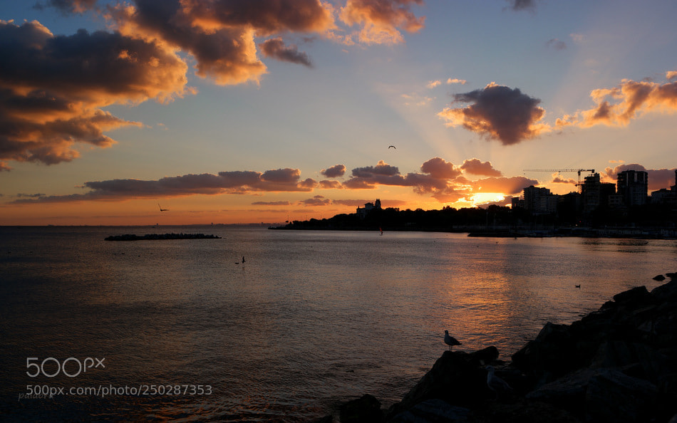 Samsung NX1 sample photo. ... photography