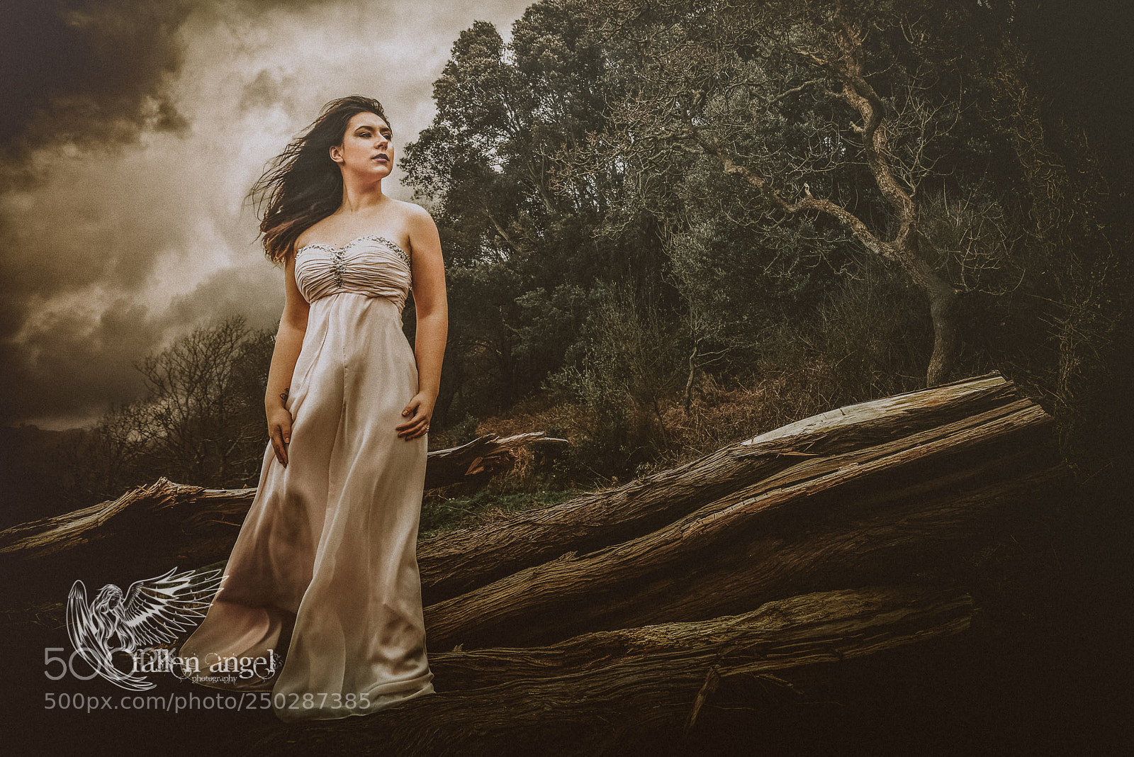 Nikon D800E sample photo. "defiant till the end" photography