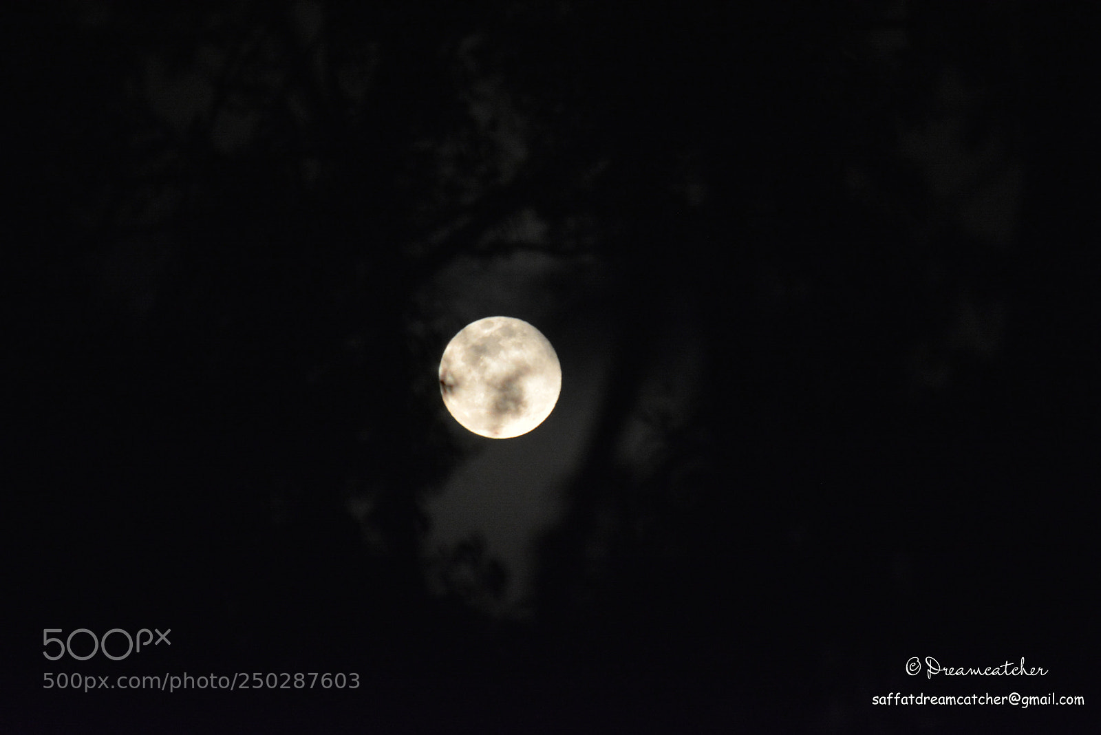 Nikon D5200 sample photo. Tender is the night! photography