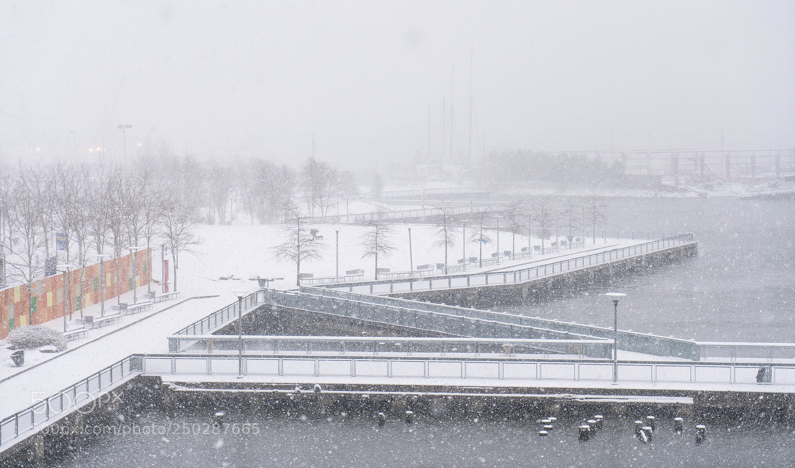 Sony a7R II sample photo. Untitled photography