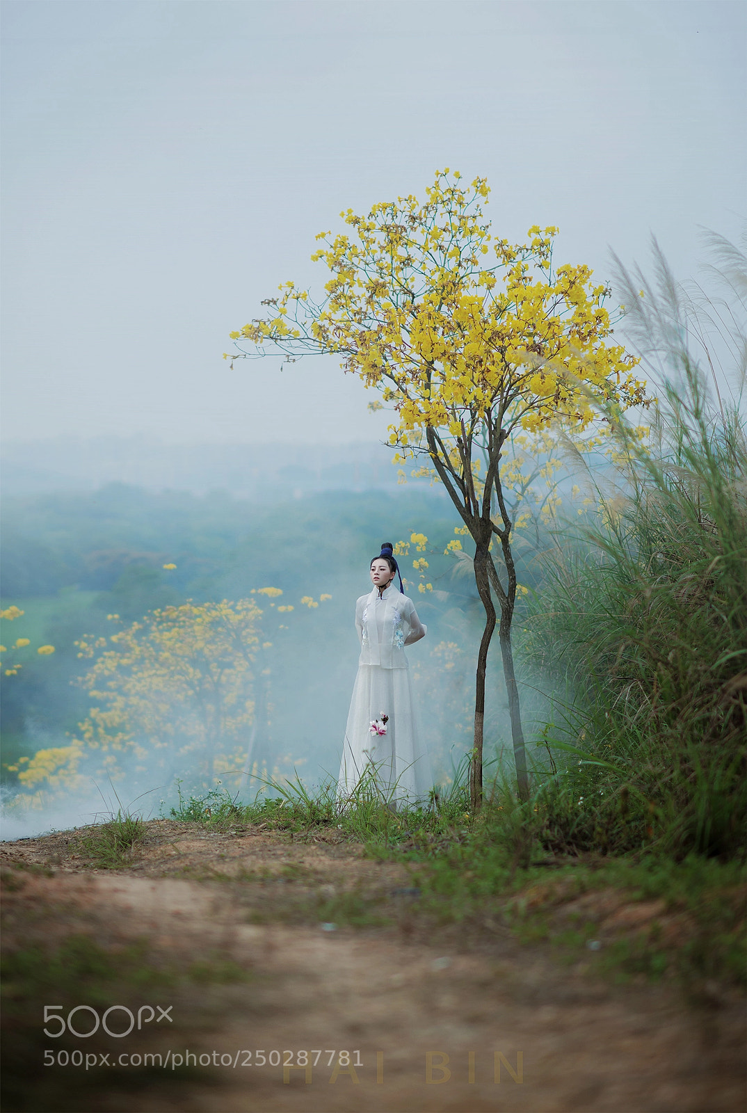 Nikon D800E sample photo. Untitled photography