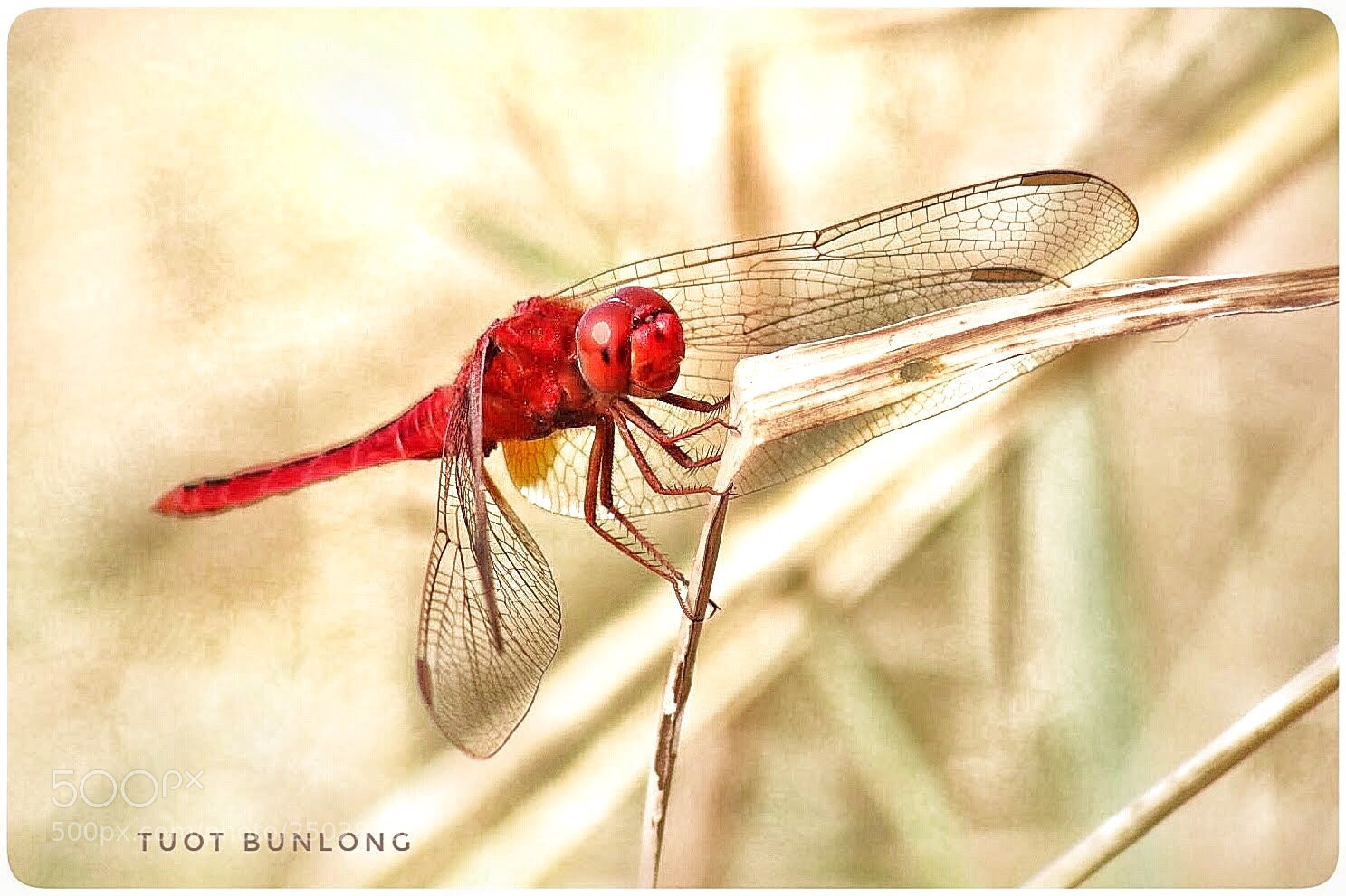 Canon EOS 77D (EOS 9000D / EOS 770D) sample photo. Untitled photography
