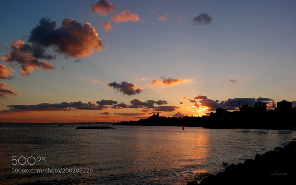 Samsung NX1 sample photo. ... photography
