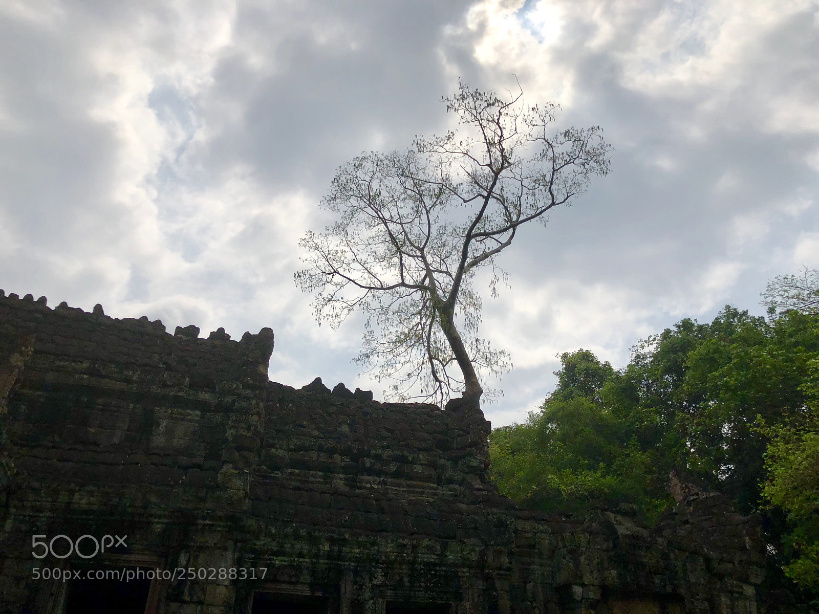Apple iPhone X sample photo. Life photography