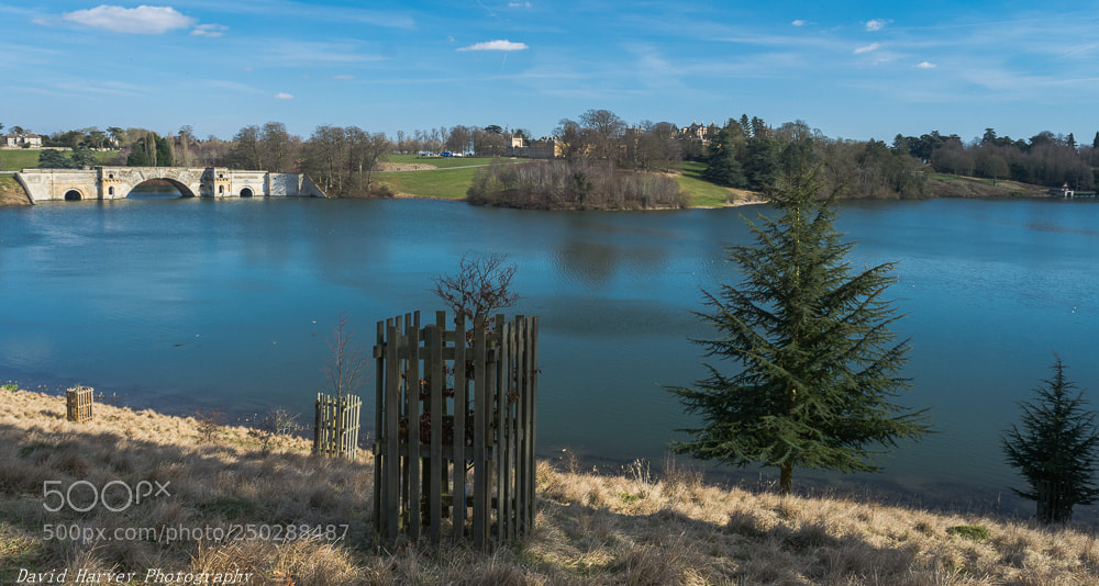 Nikon D7200 sample photo. Another viewpoint of blenhiem photography