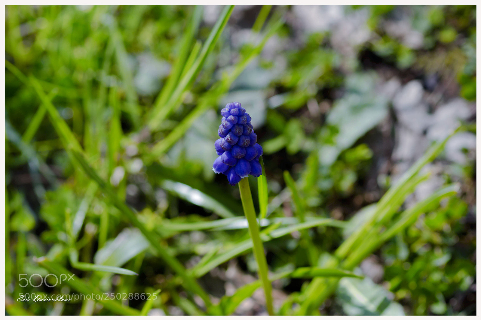 Canon EOS 700D (EOS Rebel T5i / EOS Kiss X7i) sample photo. Untitled photography