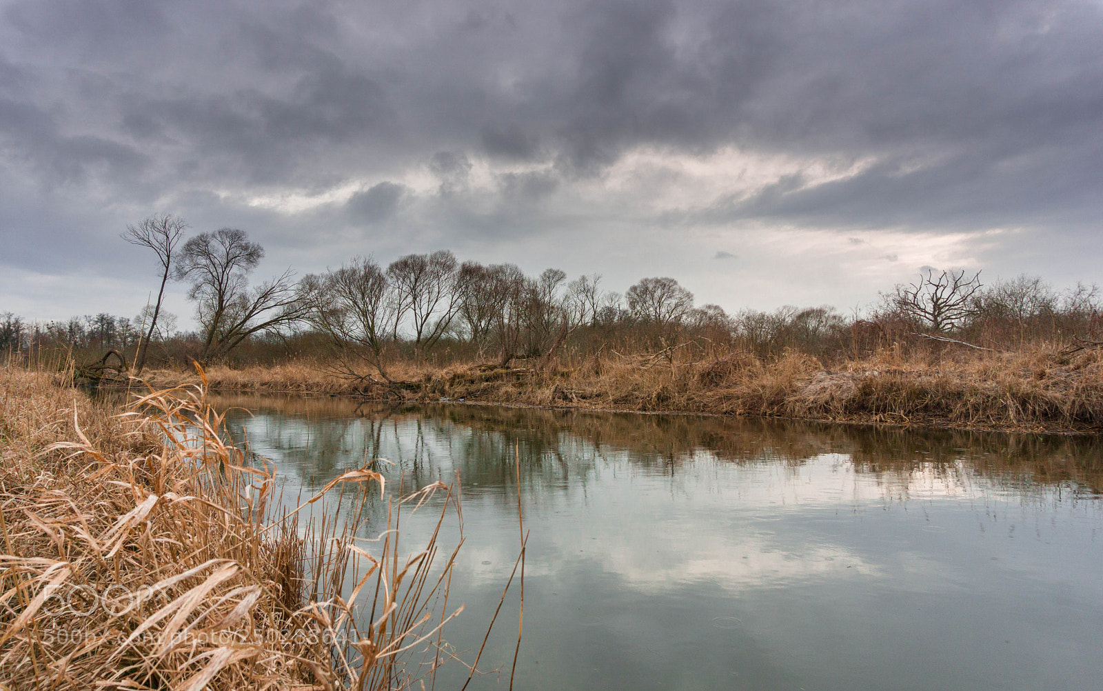 Sony a6000 sample photo. Dsc photography