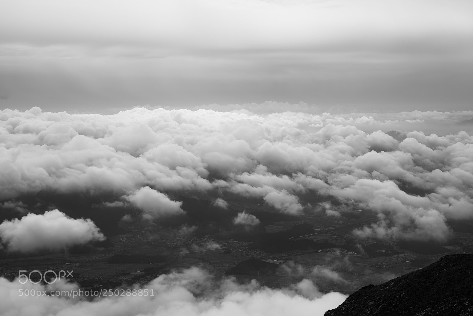 Nikon D810 sample photo. Sea of clouds photography