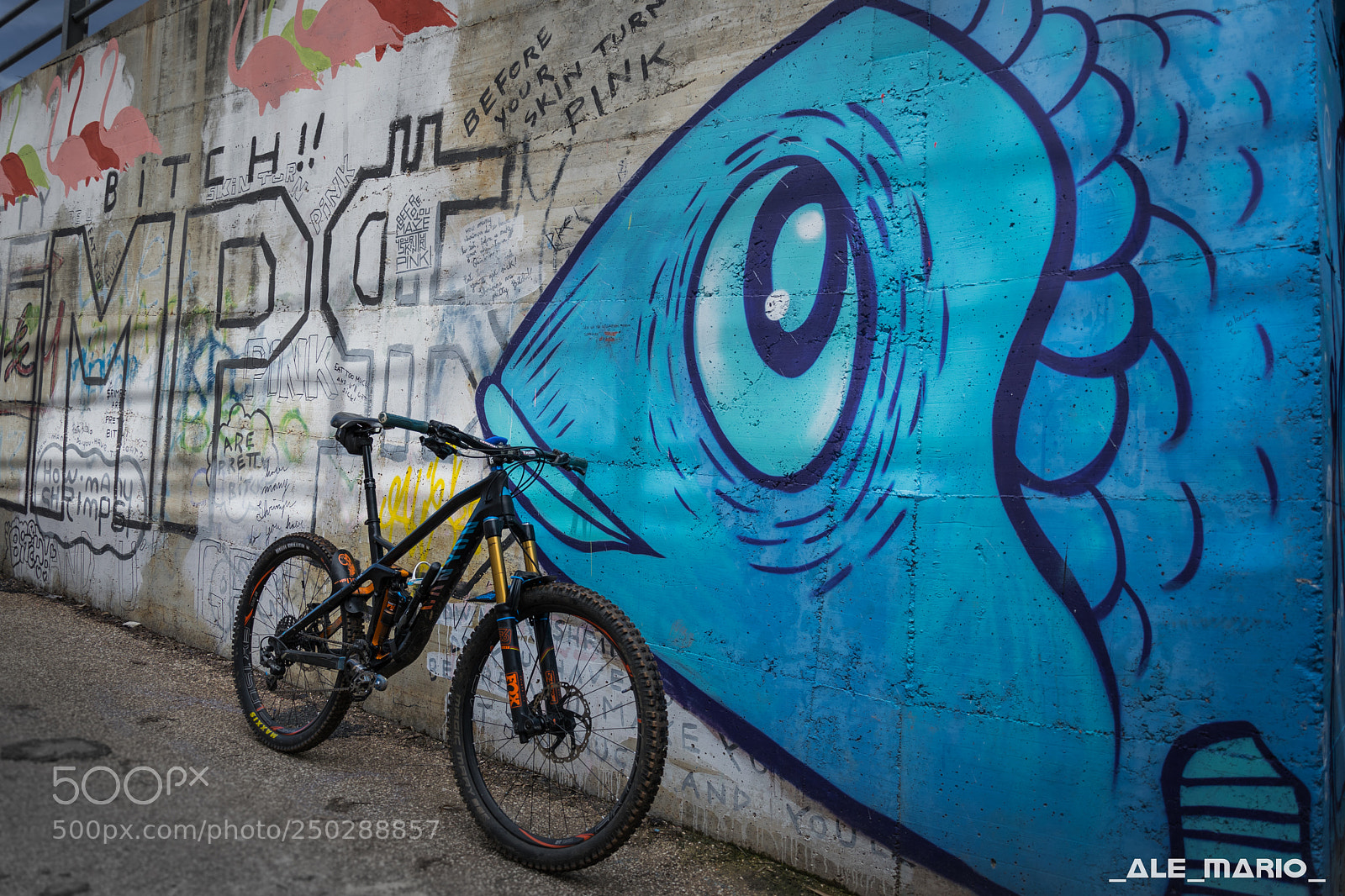 Nikon D3300 sample photo. Fishbike photography