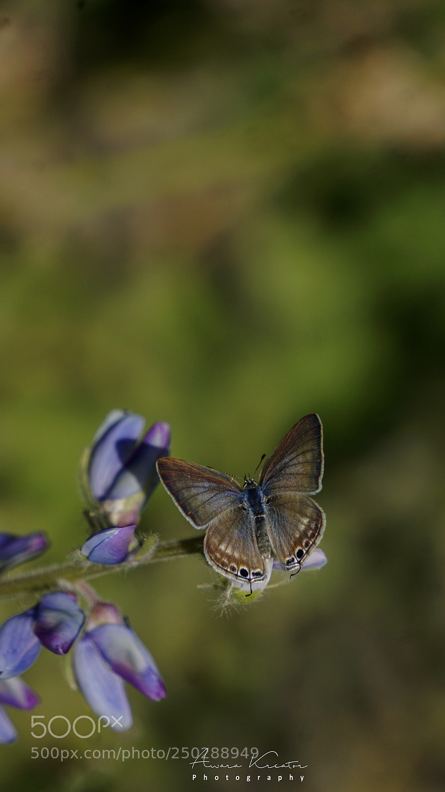 Sony a6000 sample photo. 4.jpg photography