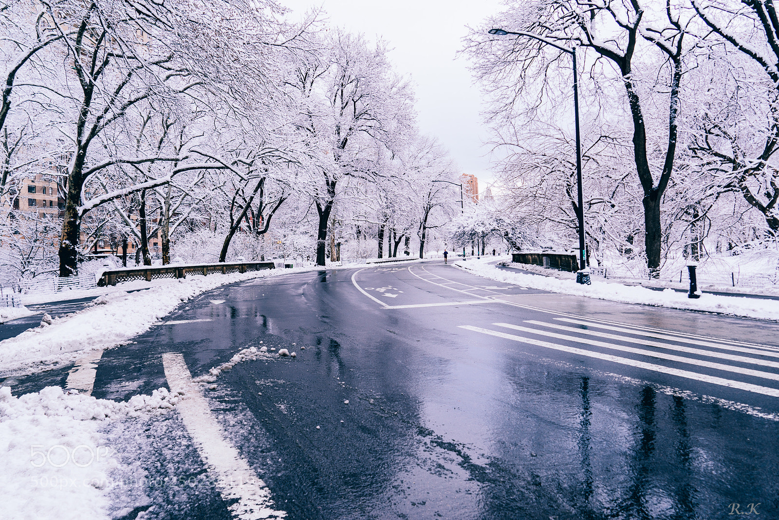 Sony a7R sample photo. Happy spring they said photography