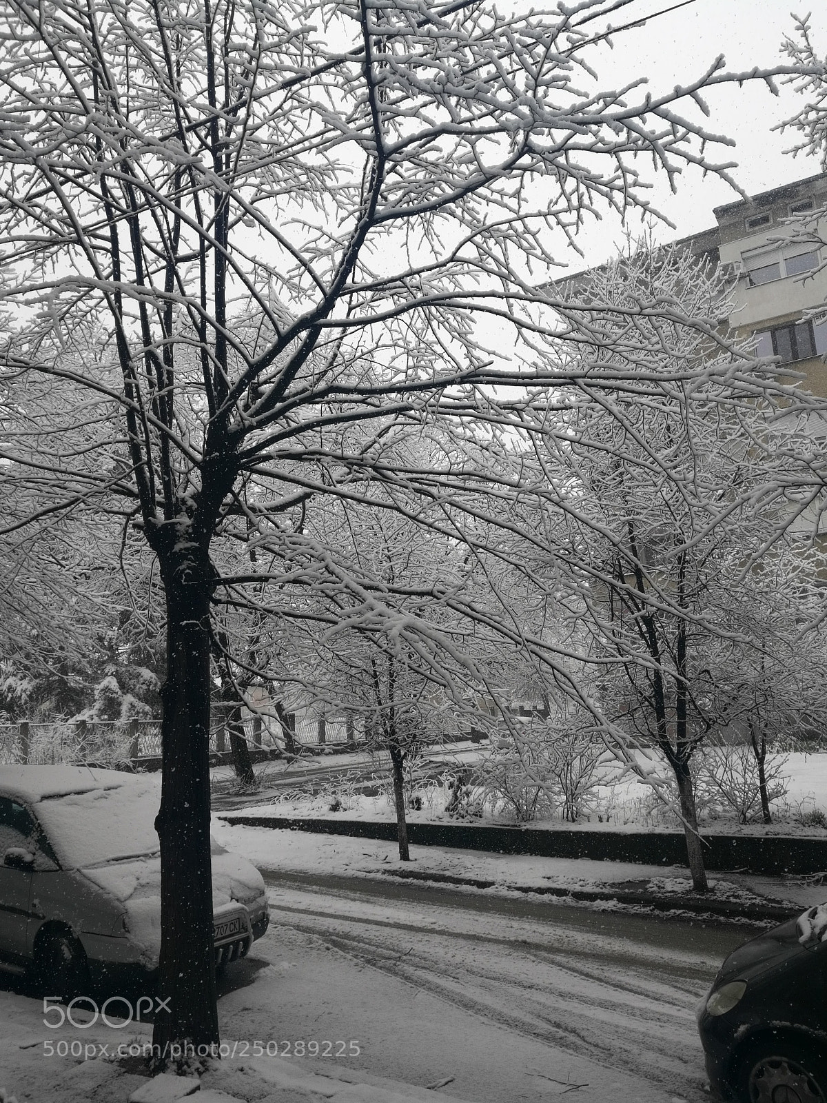 HUAWEI Honor 8 sample photo. Untitled photography