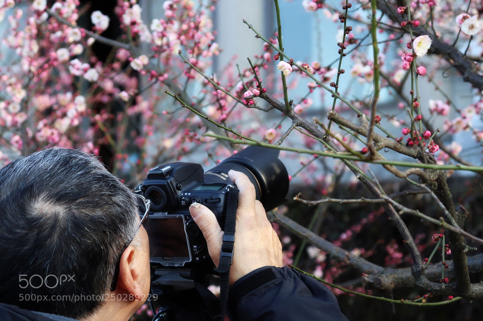 Canon EOS 800D (EOS Rebel T7i / EOS Kiss X9i) sample photo. Photographer photography