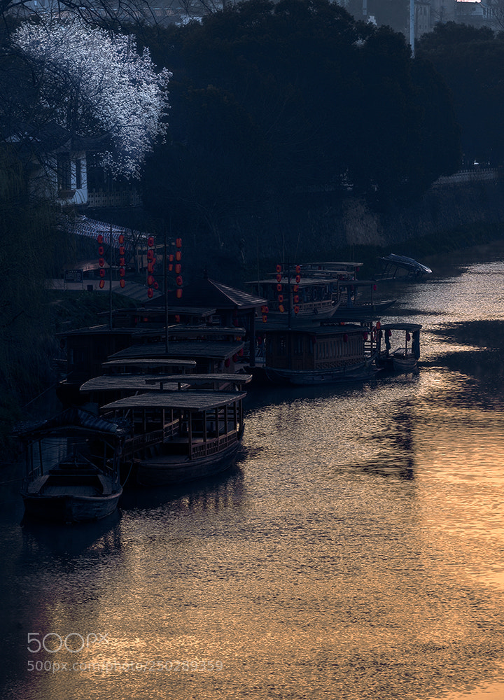 Nikon D800E sample photo. The wharf at dawn photography