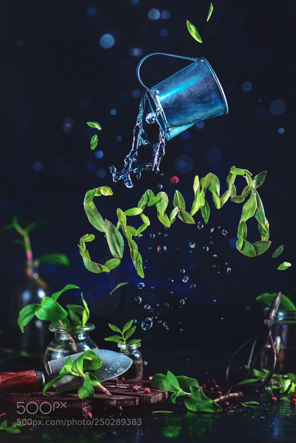 Nikon D800 sample photo. Words of spring. part 3 photography