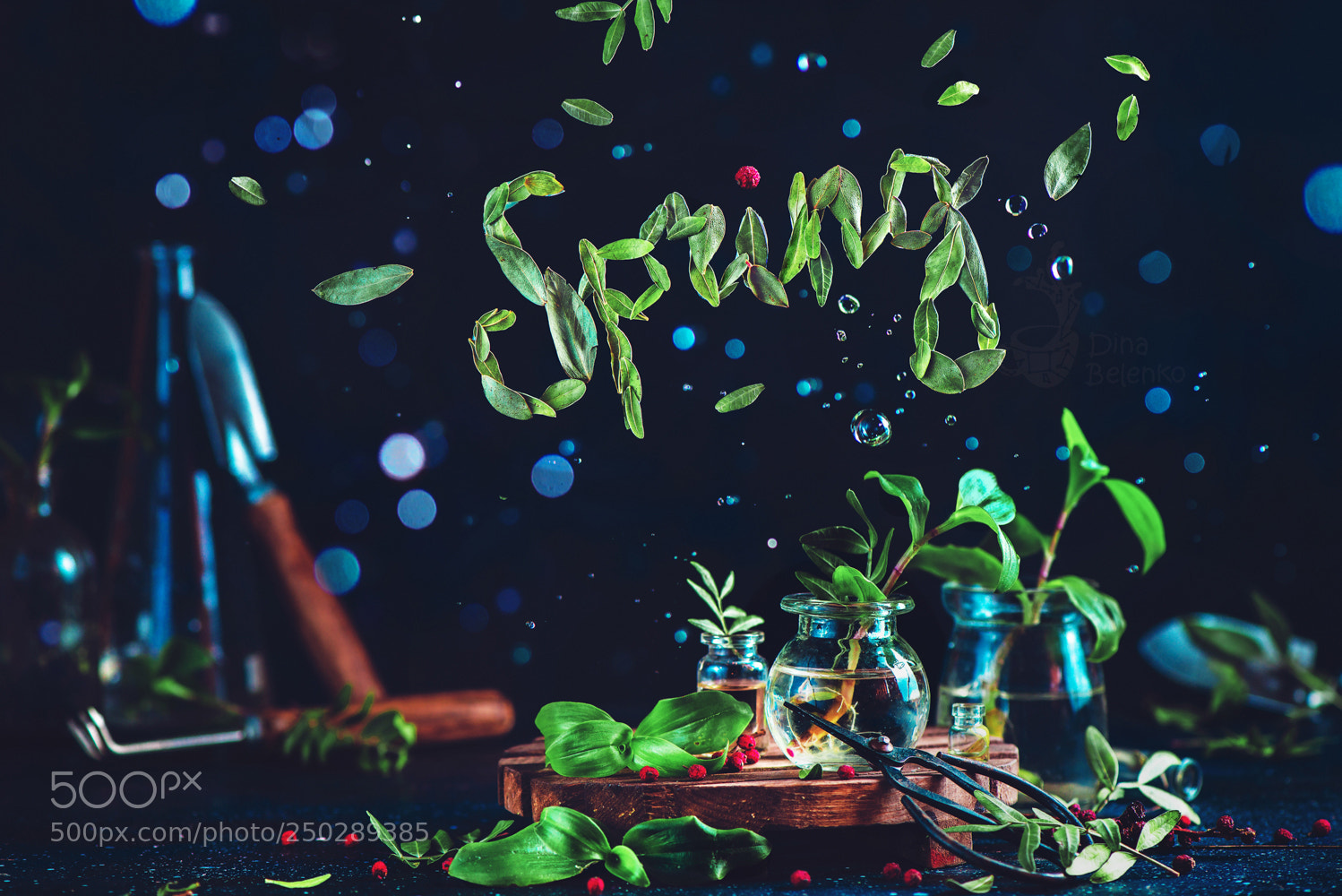 Nikon D800 sample photo. Words of spring. part 2 photography