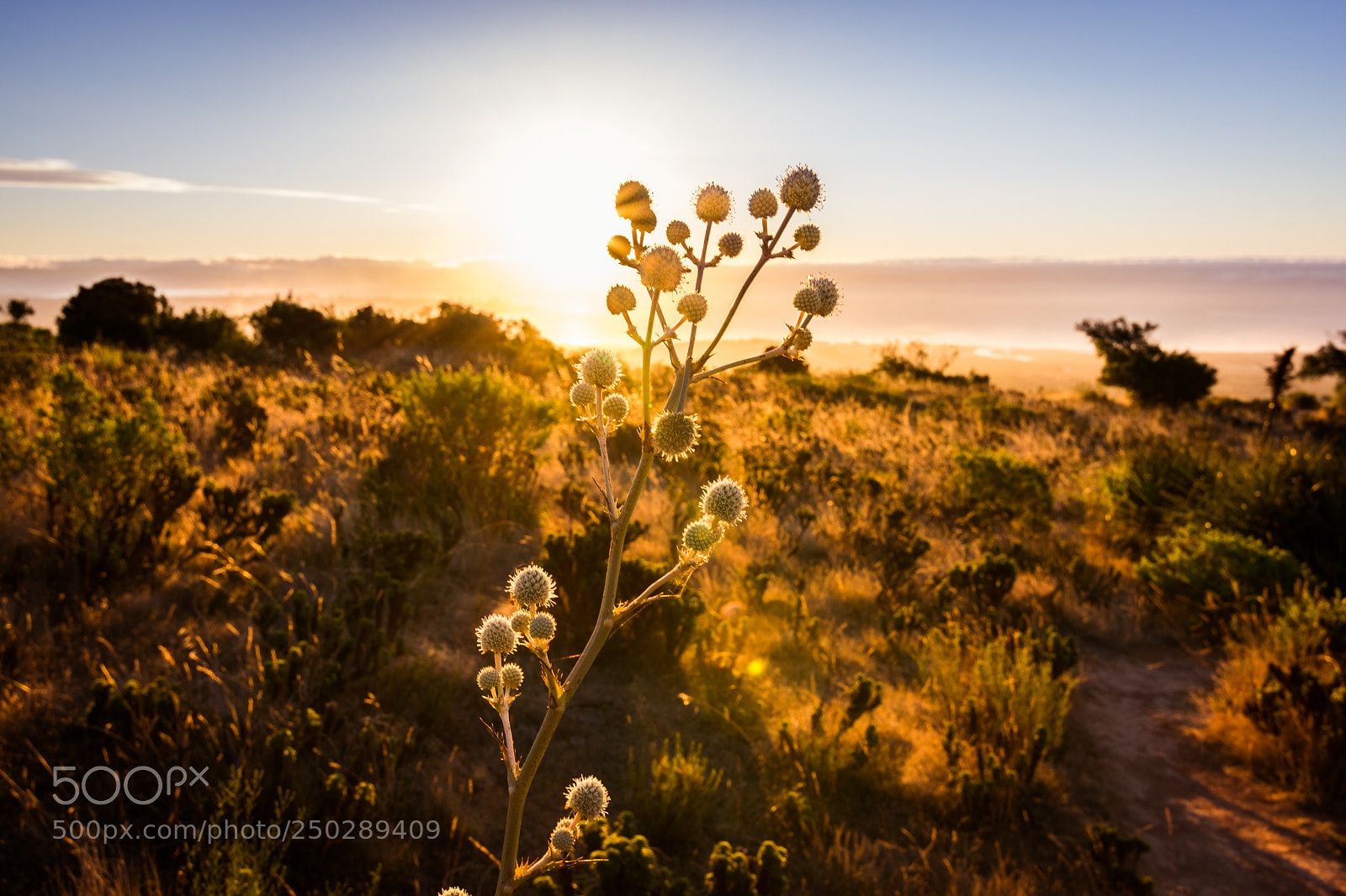 Nikon D3400 sample photo. Sunset at cerro colmo photography