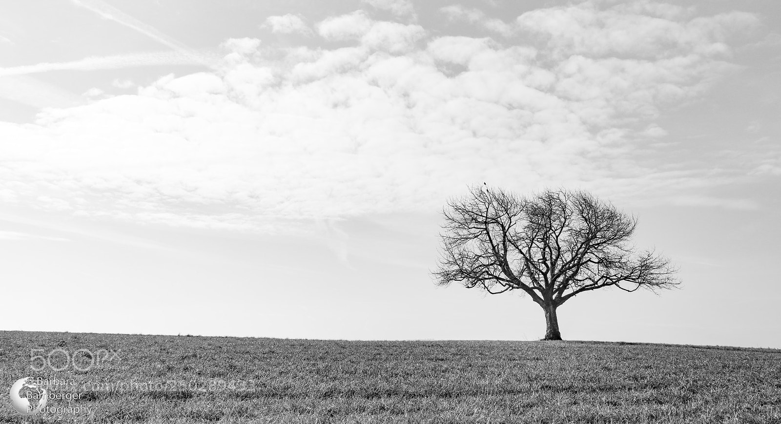 Canon EOS 5DS R sample photo. Standing alone photography