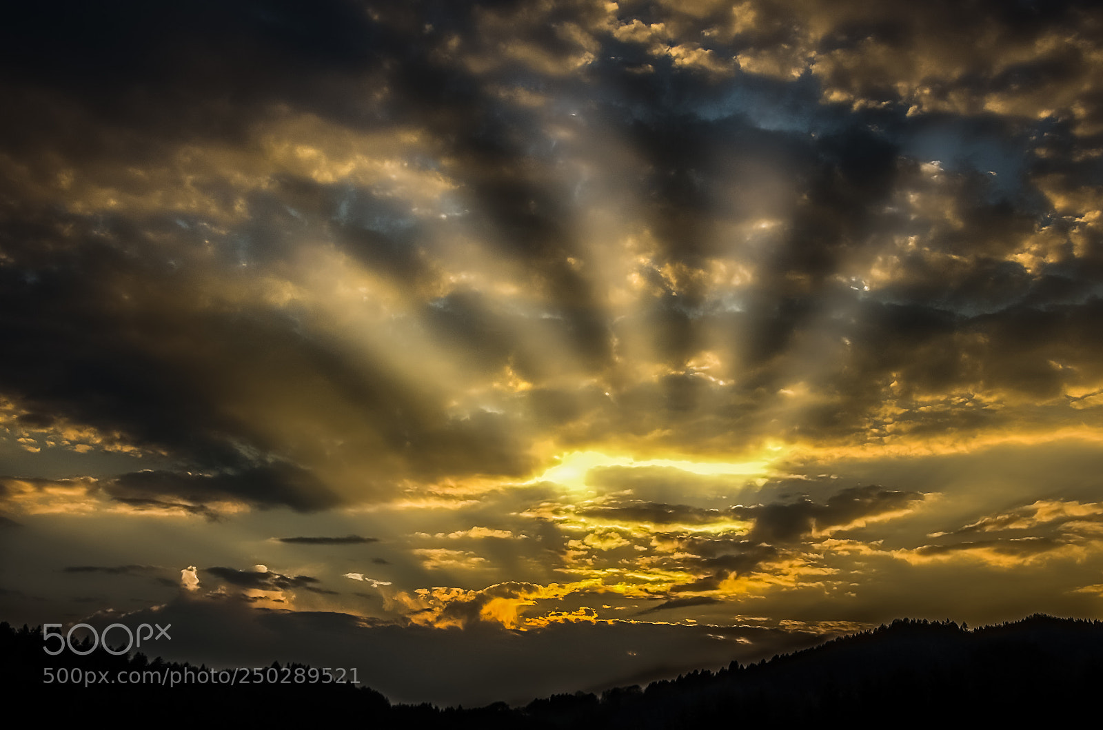 Nikon D5100 sample photo. Evening mood photography