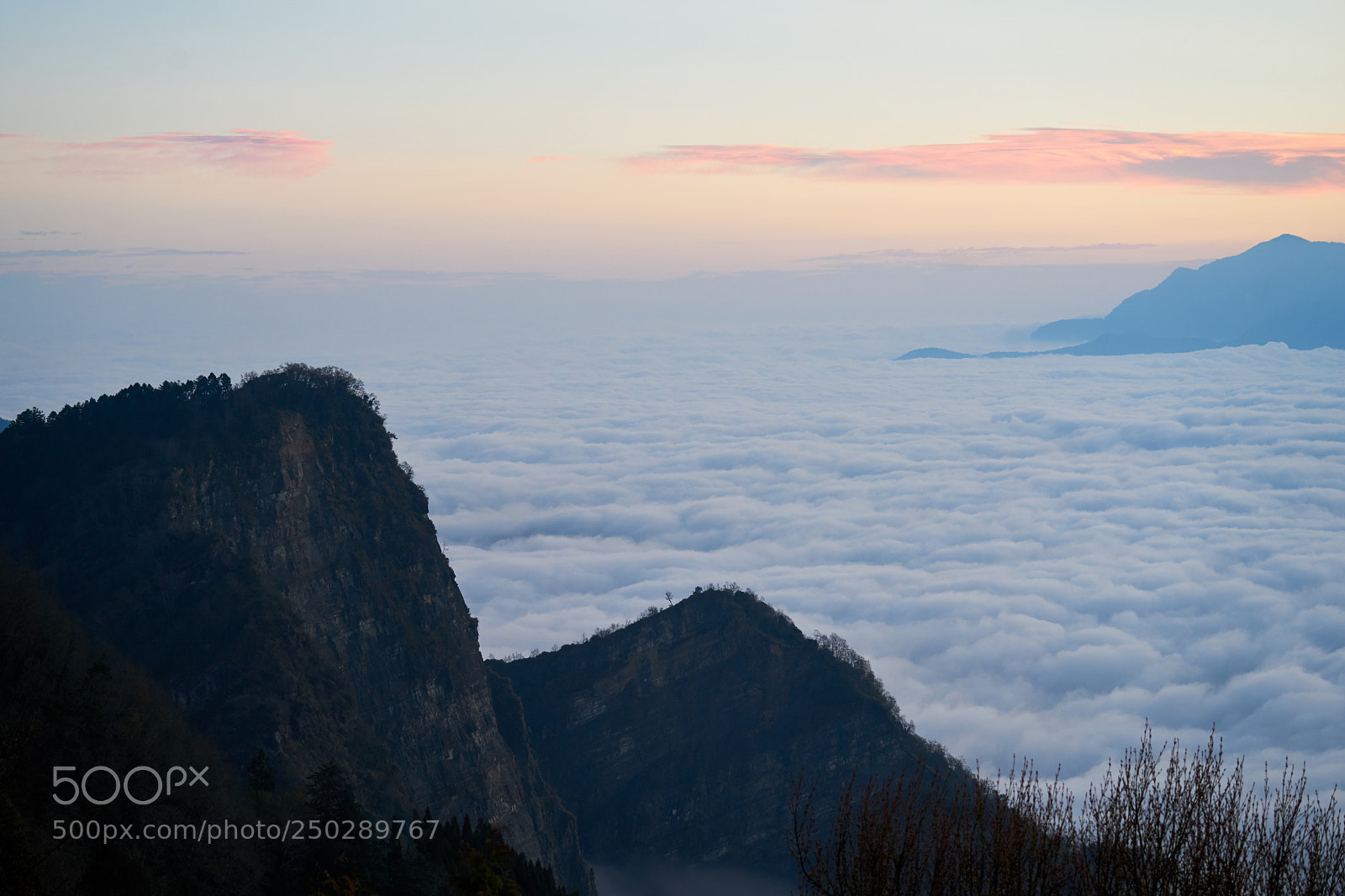 Sony a7R II sample photo. Sea of clouds photography