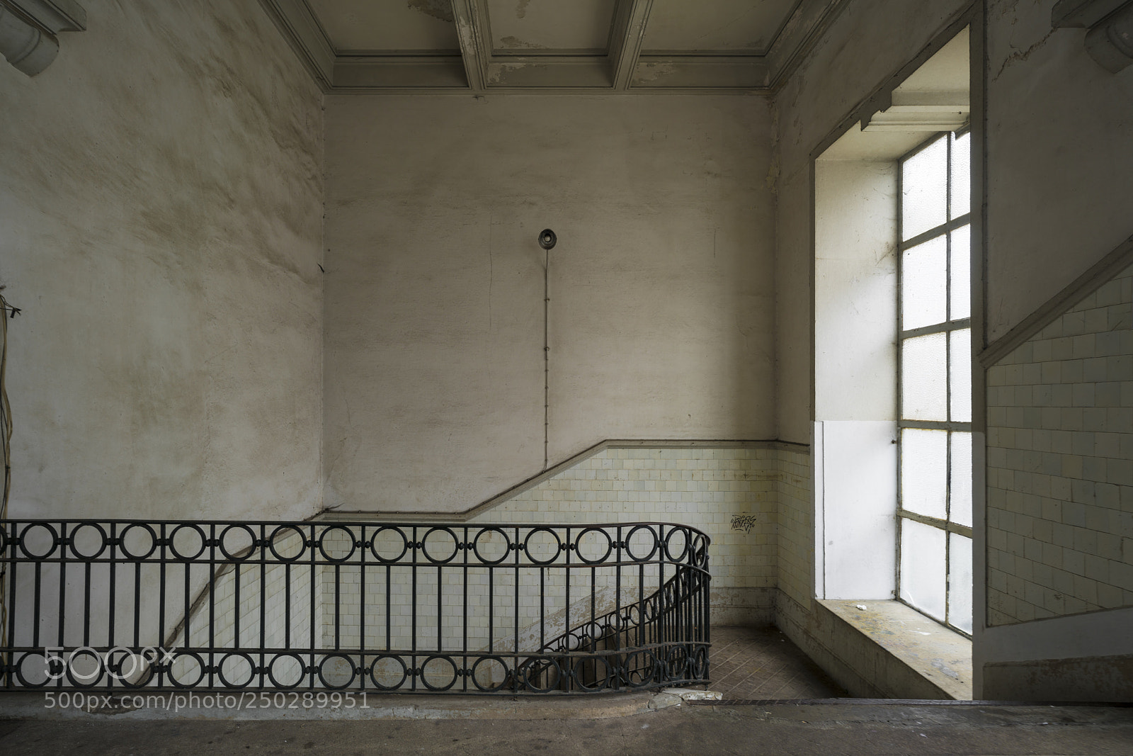 Sony a7R III sample photo. Side light photography