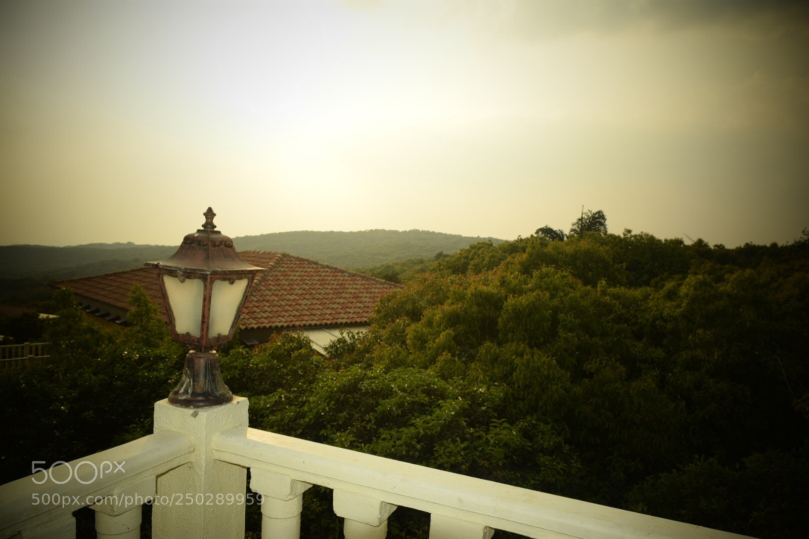 Nikon D5300 sample photo. Untitled photography