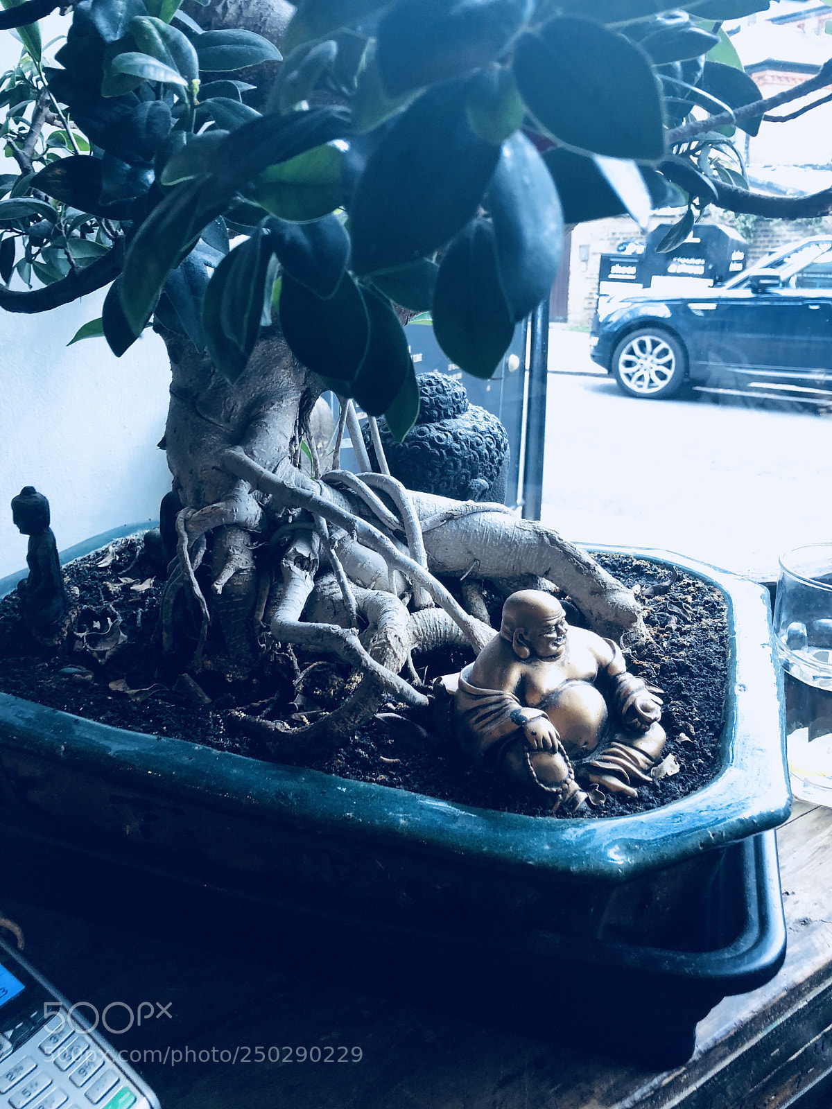 Apple iPhone X sample photo. Untitled photography