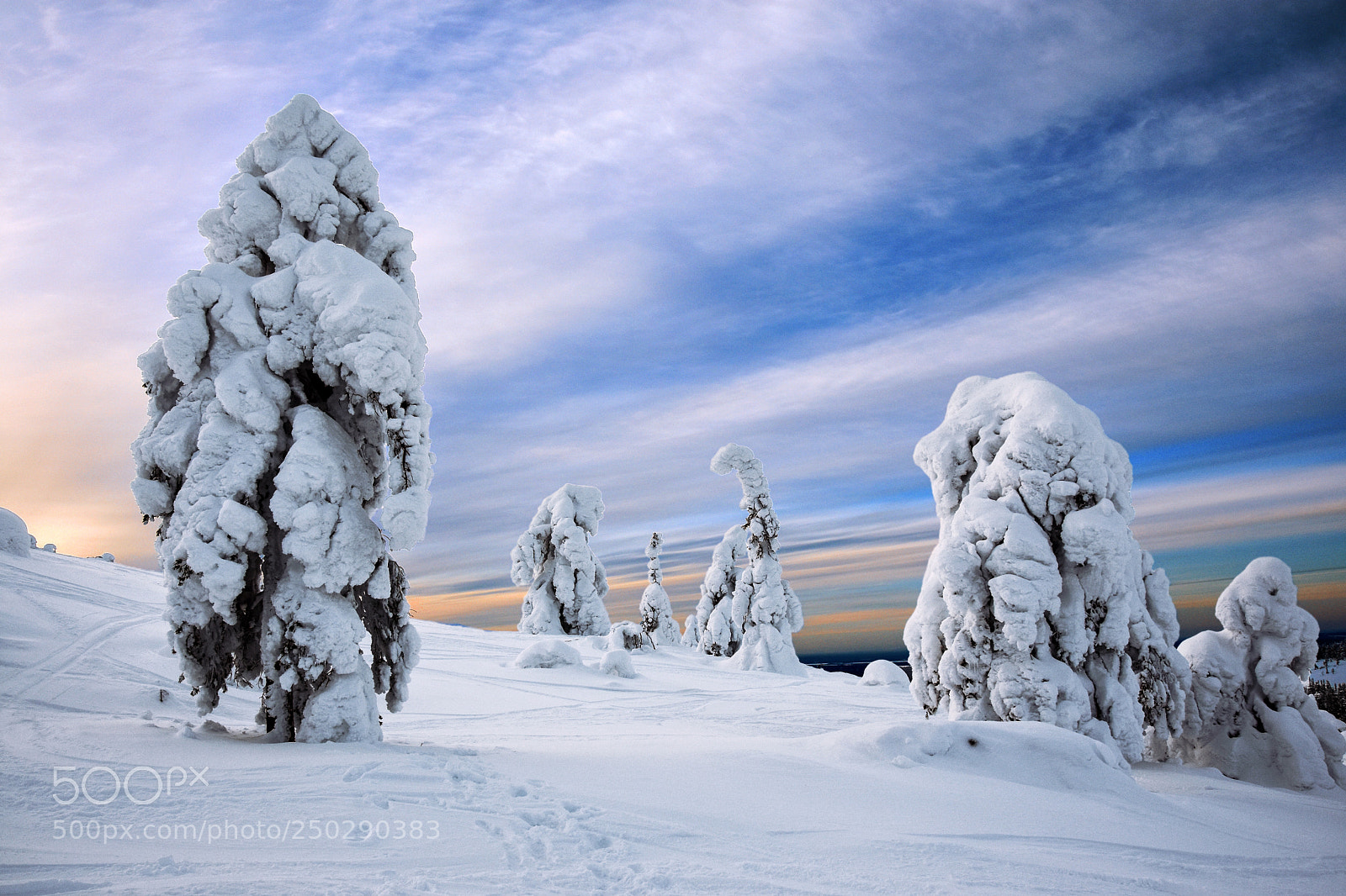 Nikon D7200 sample photo. Sunset on the fjell photography