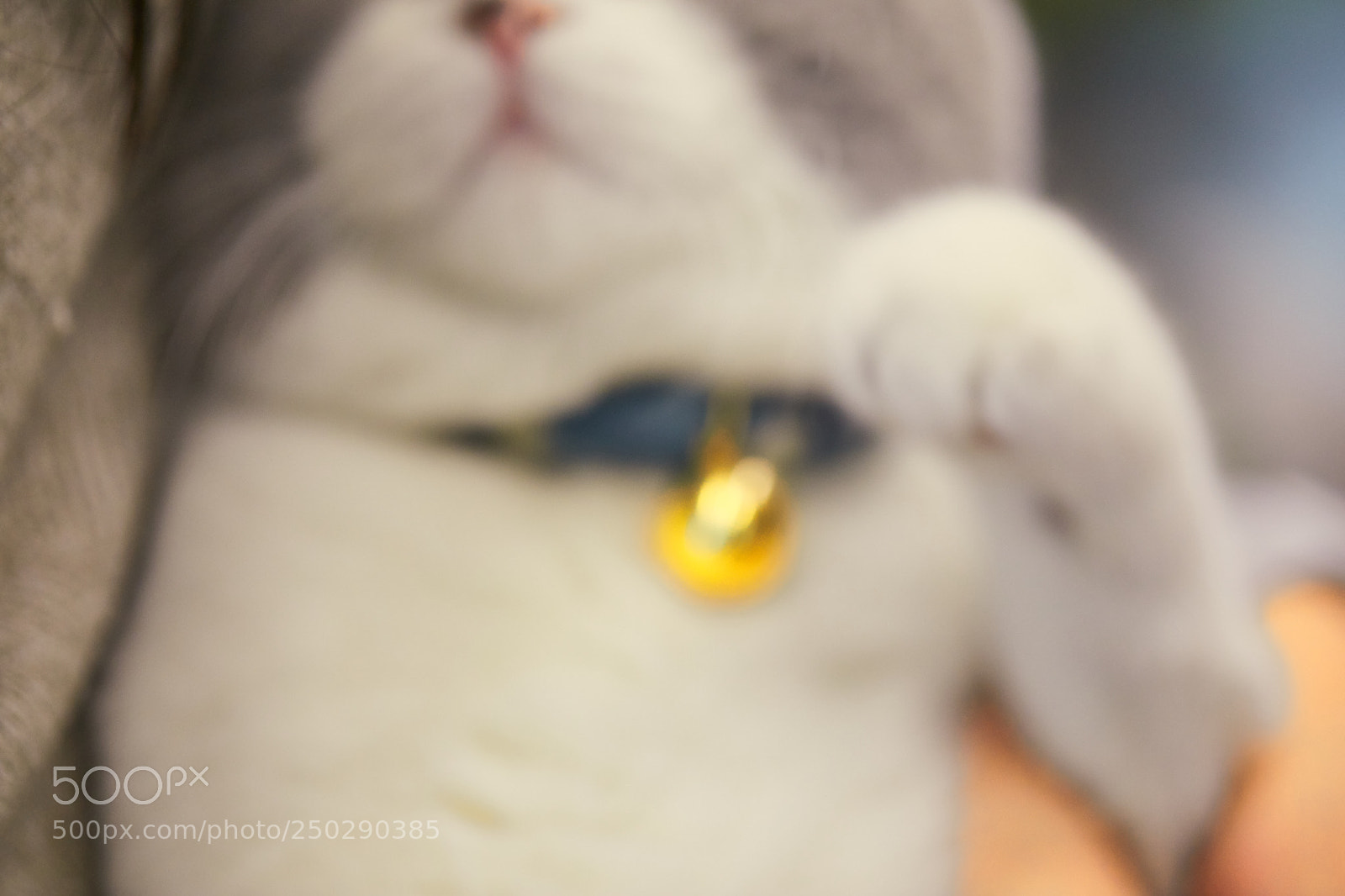 Canon EOS 5D Mark IV sample photo. Doraemon photography