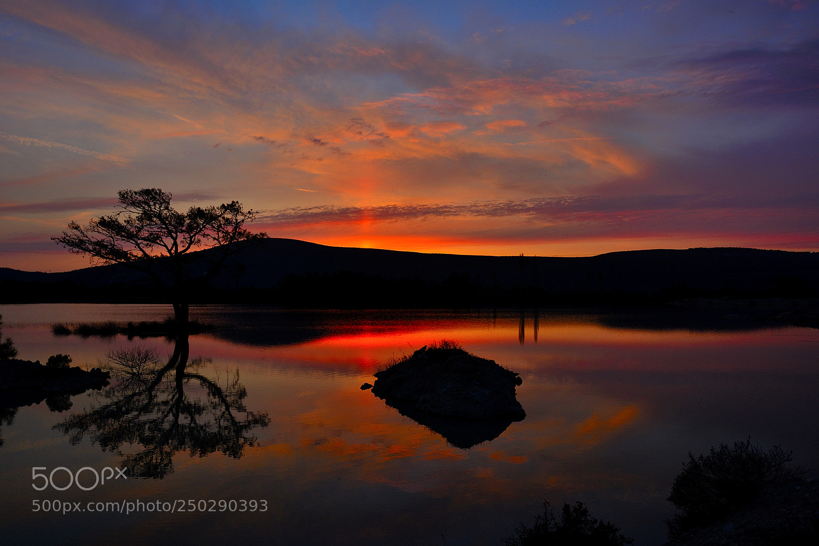 Nikon D7100 sample photo. Sunset-tree photography